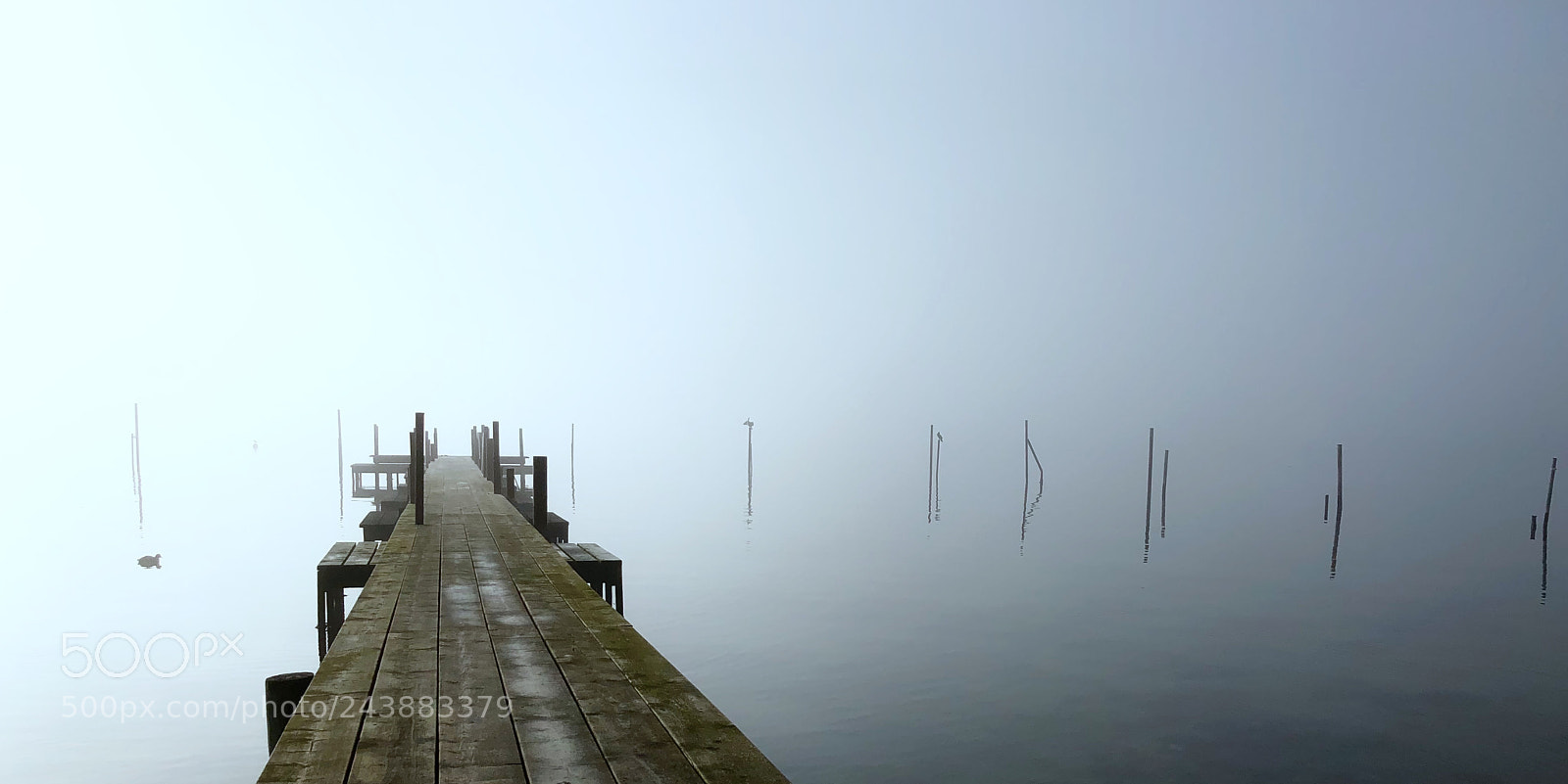 Apple iPhone X sample photo. Dense fog at nyborg photography