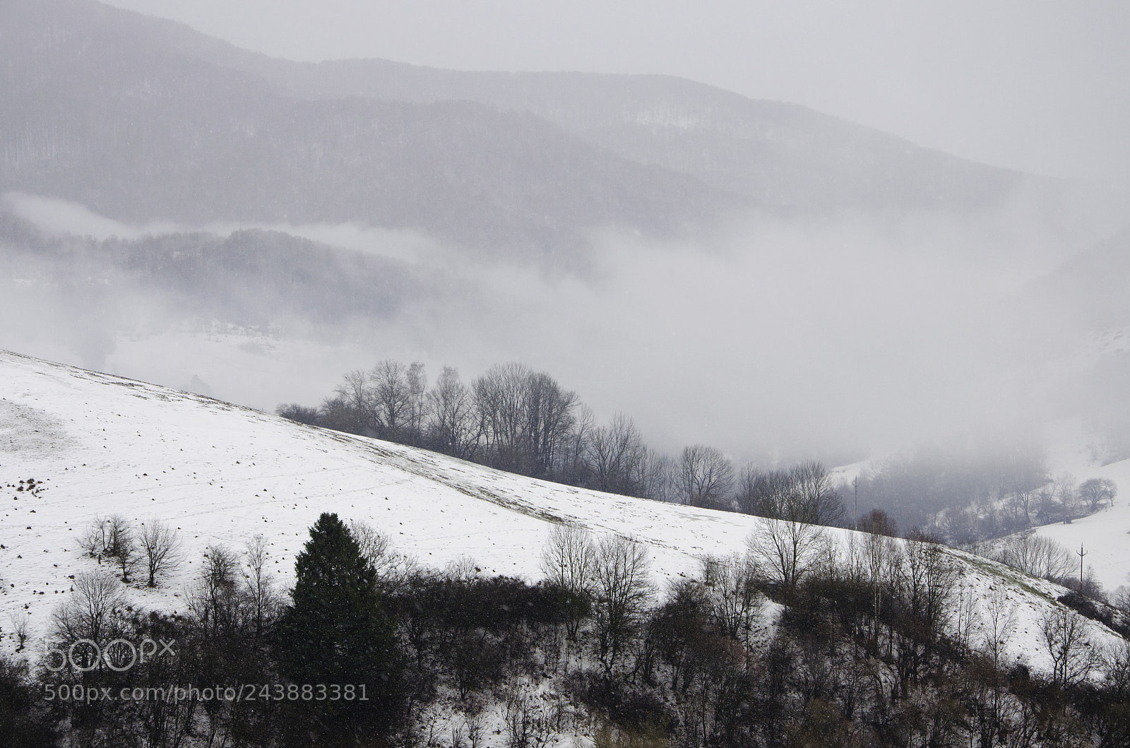 Nikon D5100 sample photo. Inversion photography