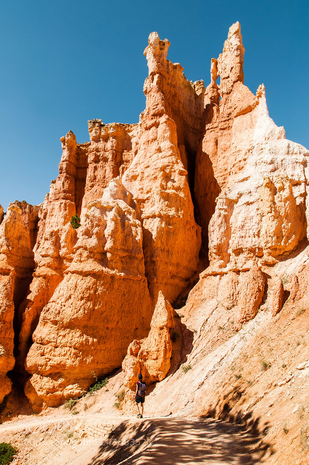 Nikon D90 sample photo. The orange land photography