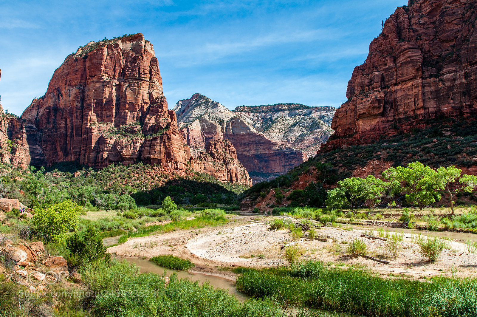 Nikon D90 sample photo. Zion park photography