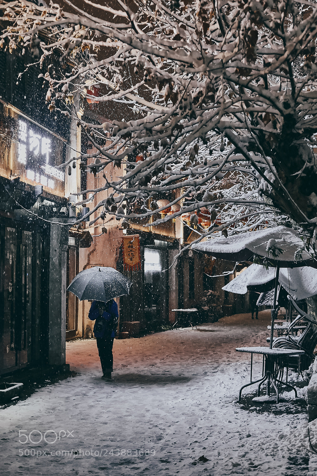 Canon EOS 5DS sample photo. In the snow photography
