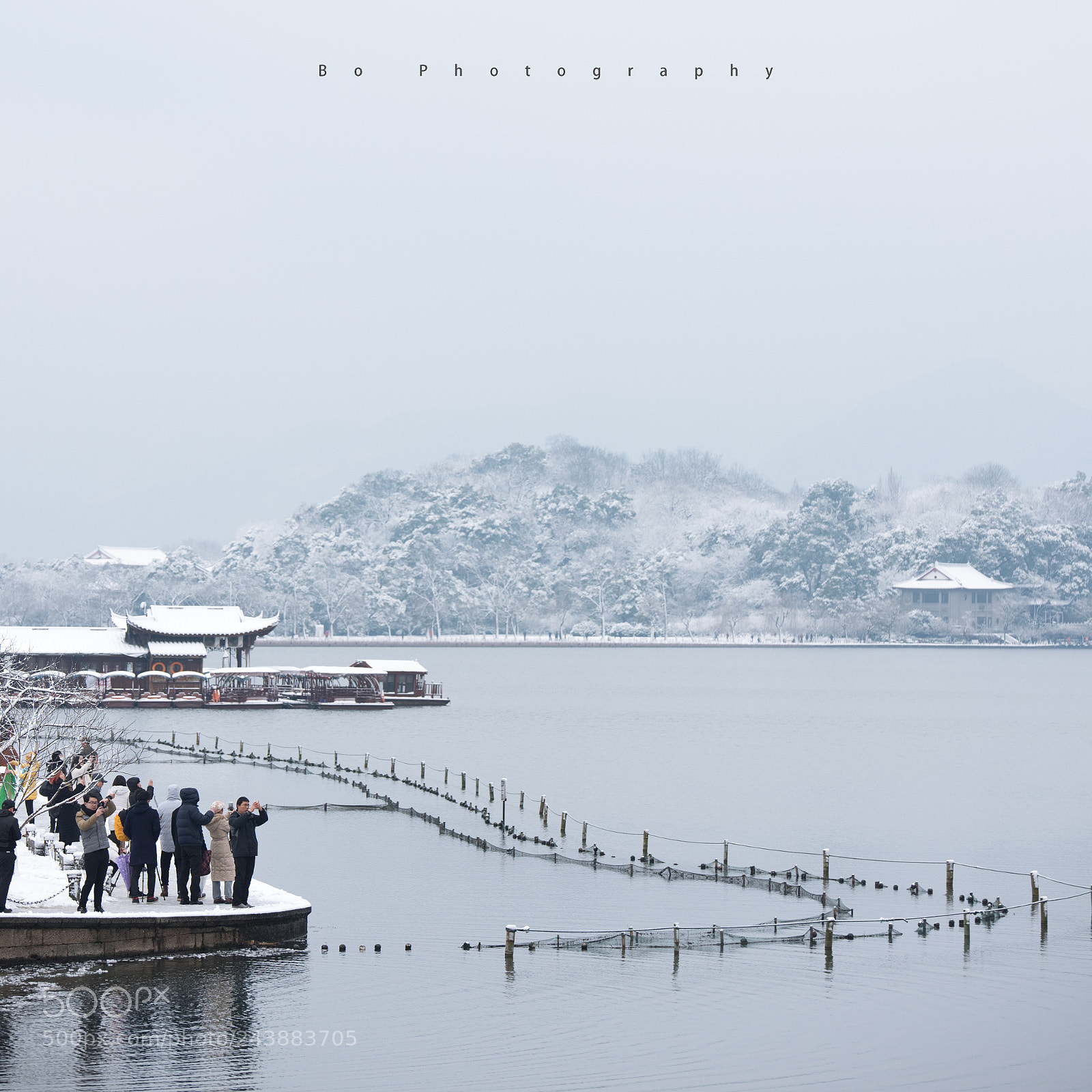 Nikon D810 sample photo. Bos_3349.jpg photography