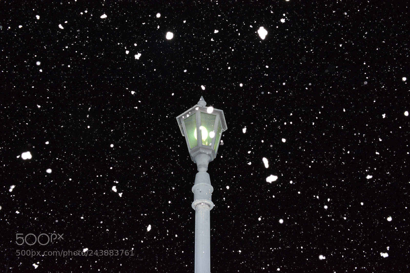 Nikon D7100 sample photo. It's a snow day photography