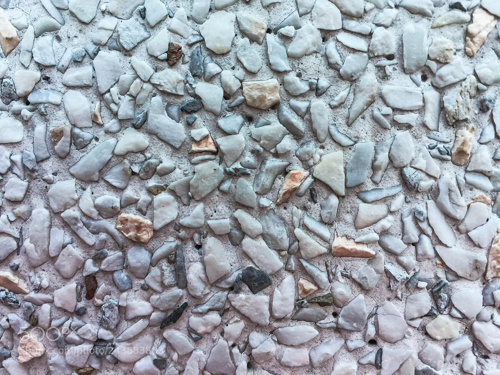 Apple iPhone 6 Plus sample photo. Apc_0042.jpg photography