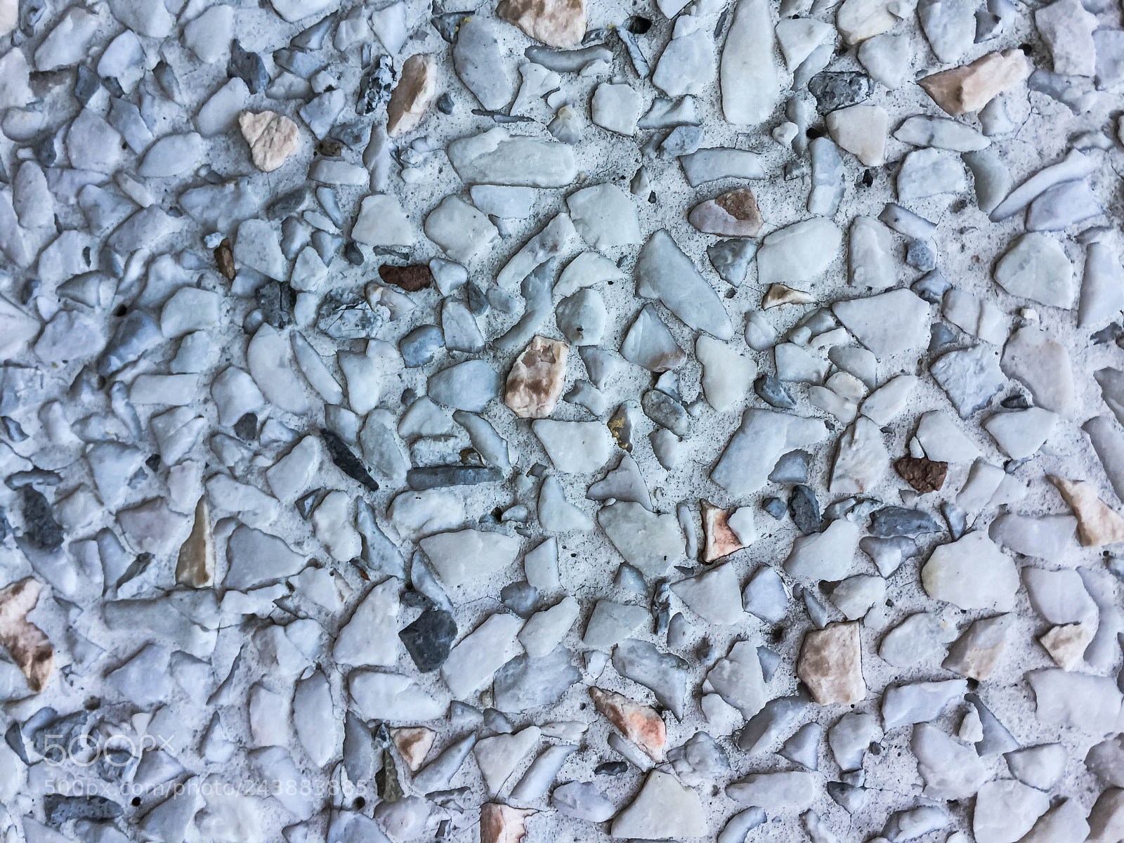 Apple iPhone 6 Plus sample photo. Apc_0041.jpg photography