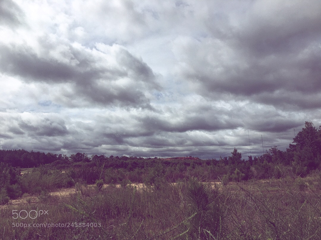 Apple iPhone 6s sample photo. Alec photography