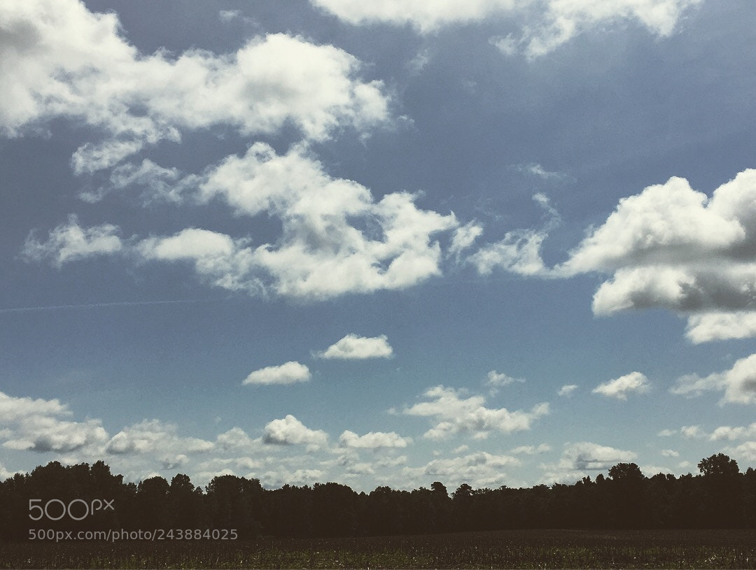 Apple iPhone 6s sample photo. Alec photography