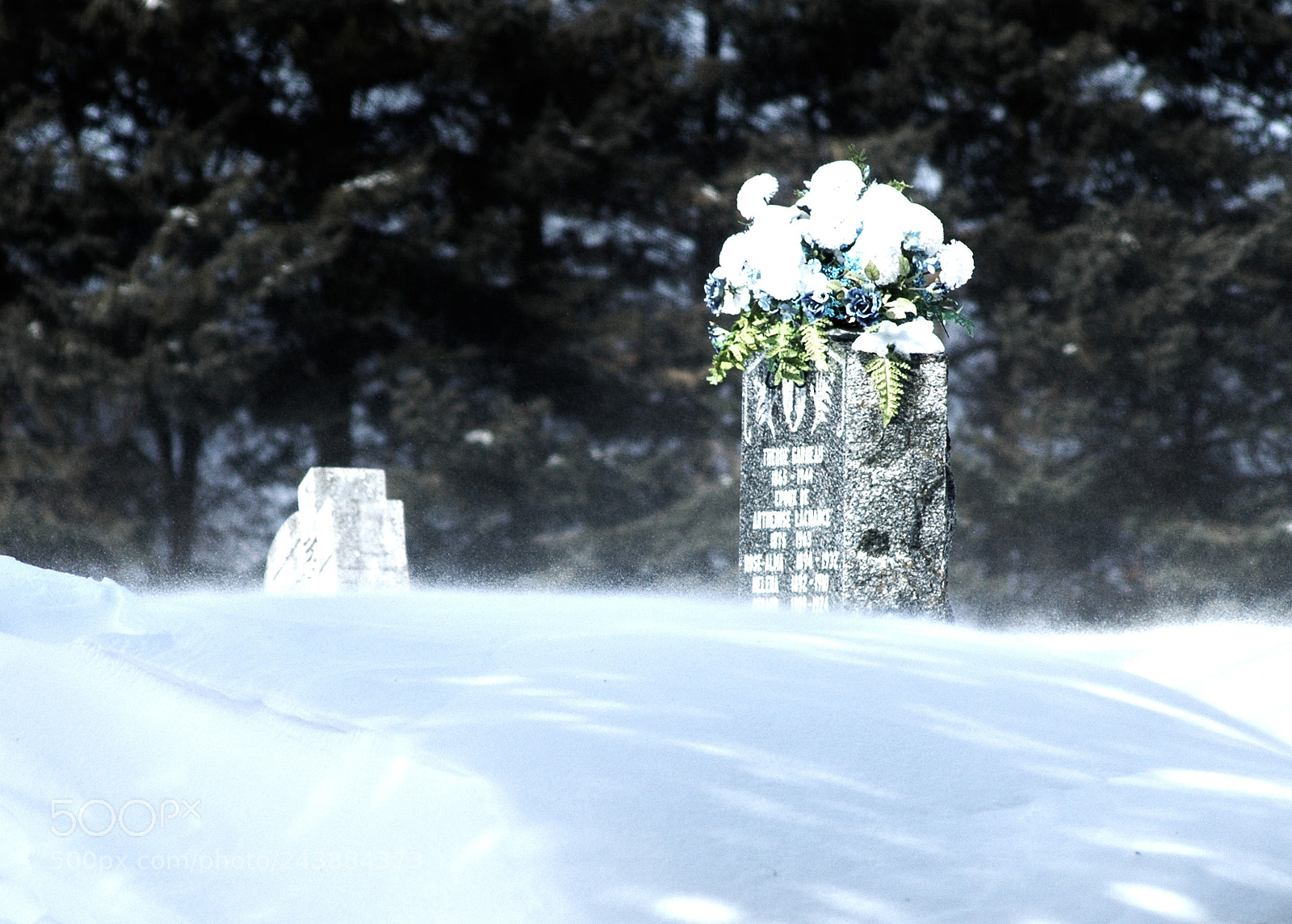 Nikon D70 sample photo. Cimetie re de st photography
