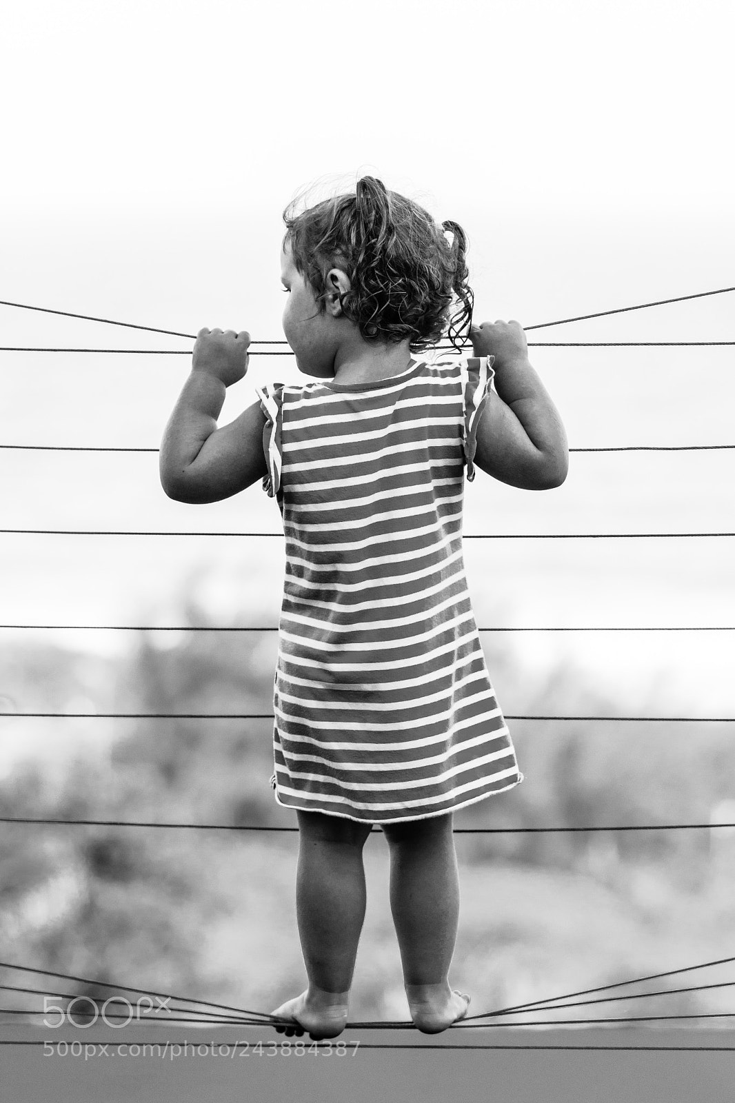 Nikon D7100 sample photo. Child on a wire photography