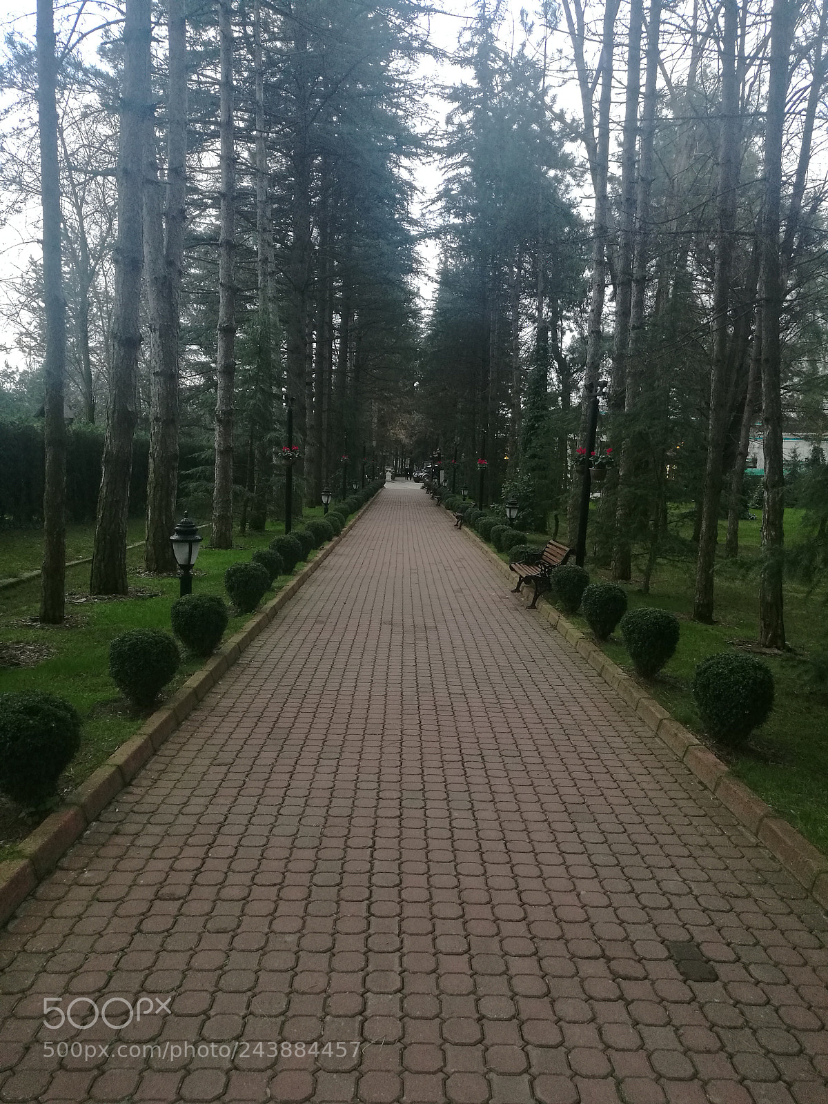HUAWEI Mate 8 sample photo. Untitled photography