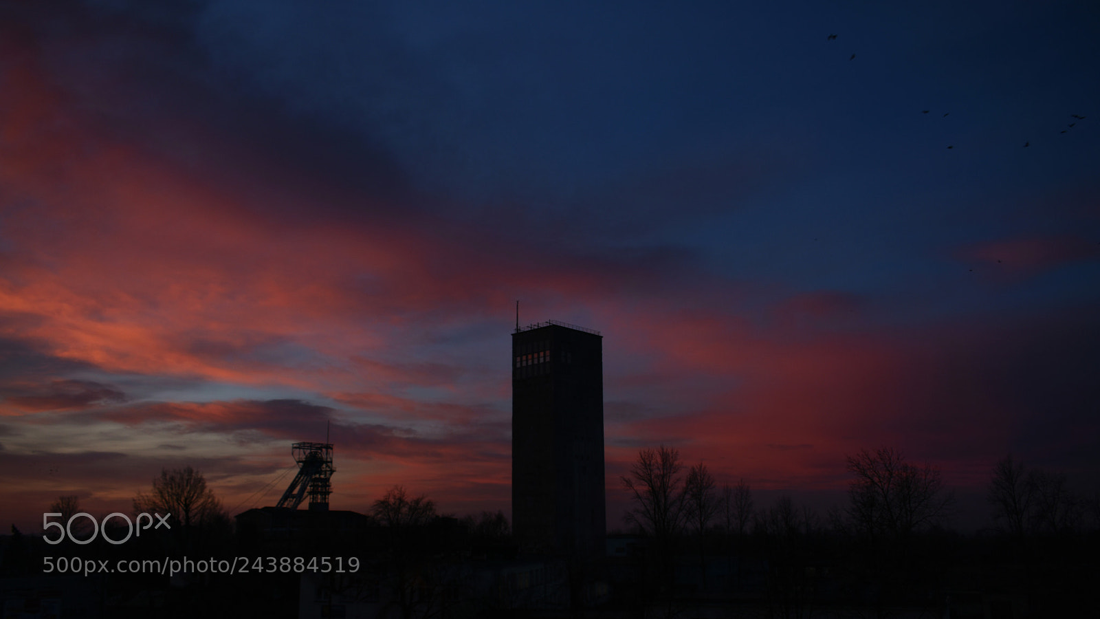 Nikon D3400 sample photo. Morning photography