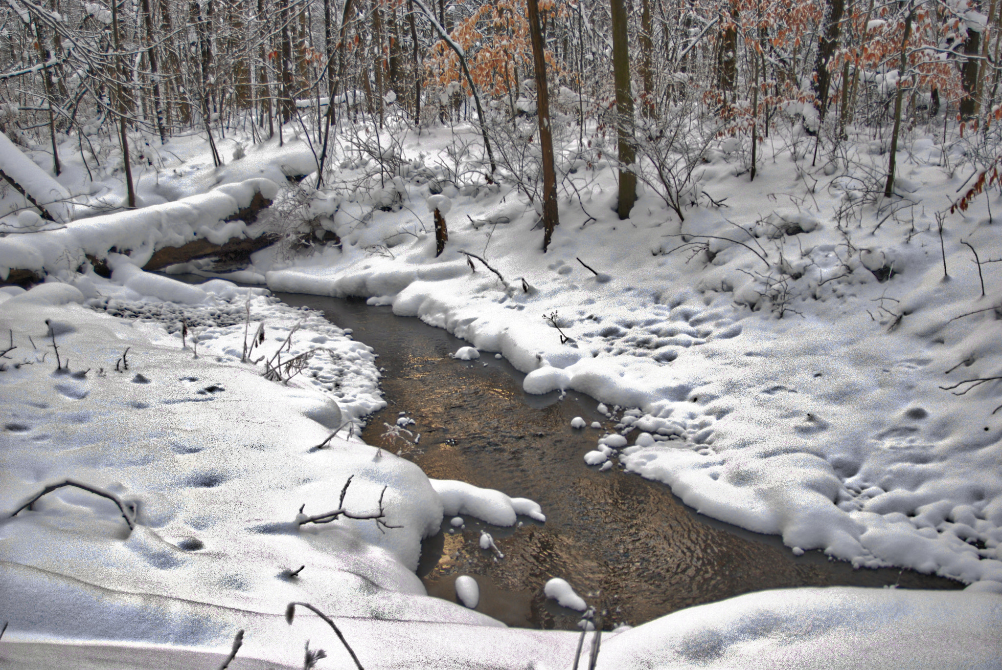 Sigma 24-60mm F2.8 EX DG sample photo. Winter creek photography