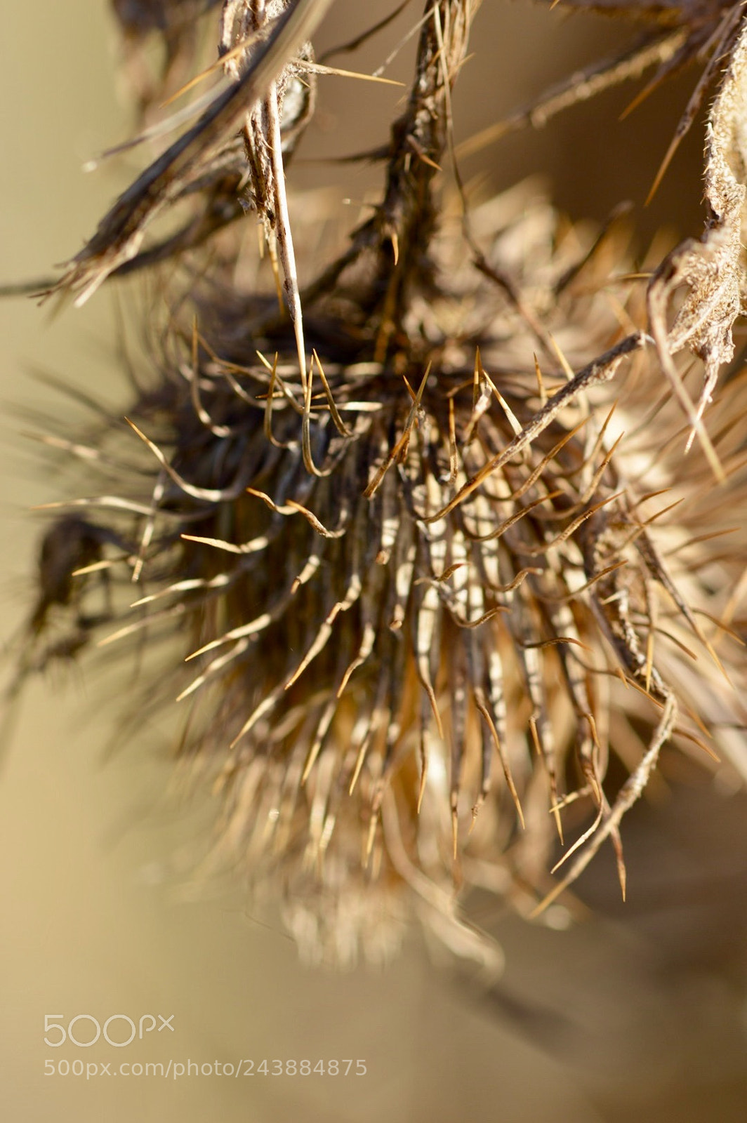 Nikon D3200 sample photo. Untitled photography
