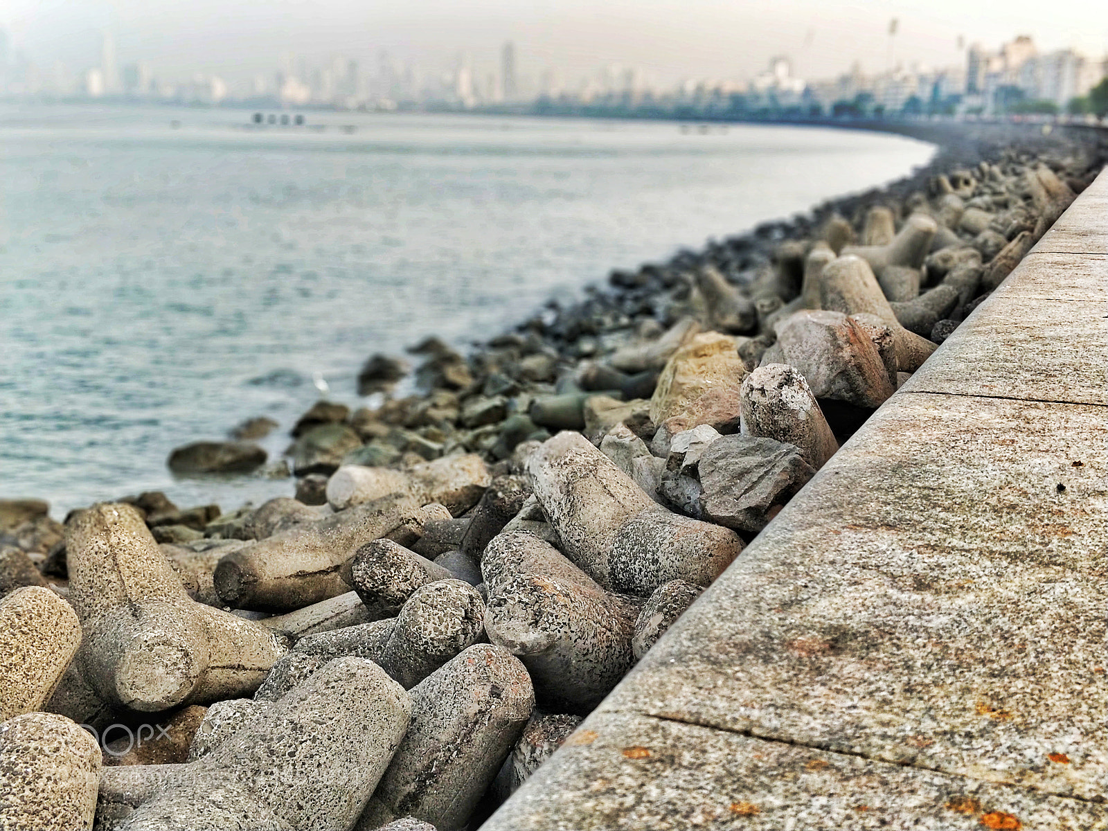 OnePlus 5 sample photo. Bokeh photography