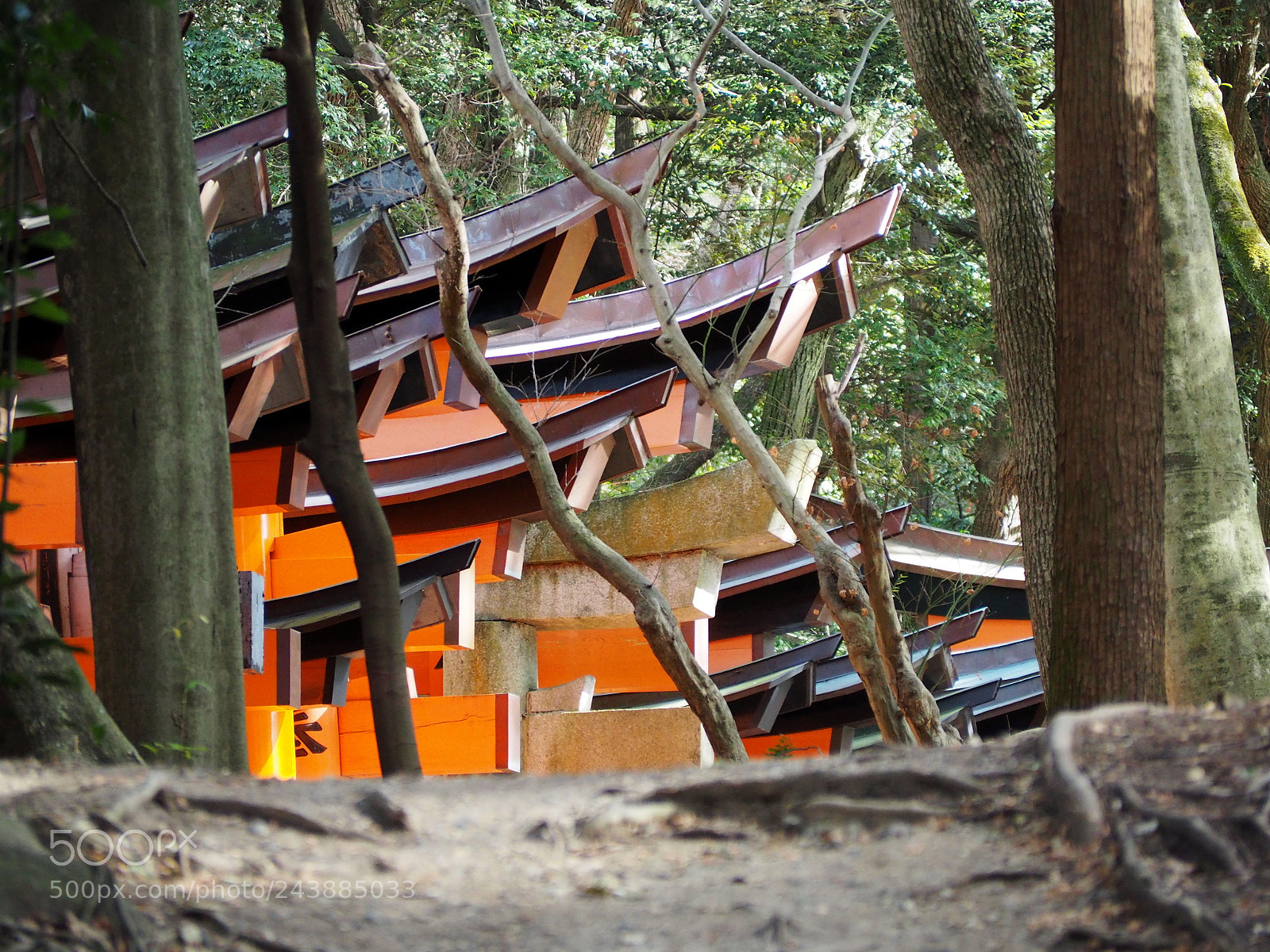 Olympus OM-D E-M10 II sample photo. Torii & trees photography