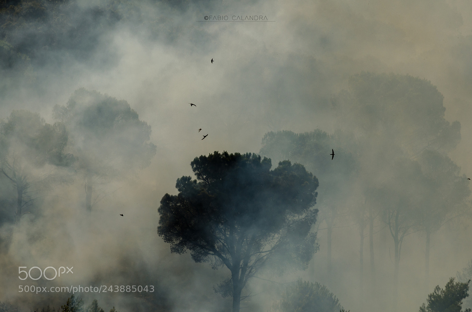 Nikon D5100 sample photo. Incendio monte inici (luglio 2017) photography