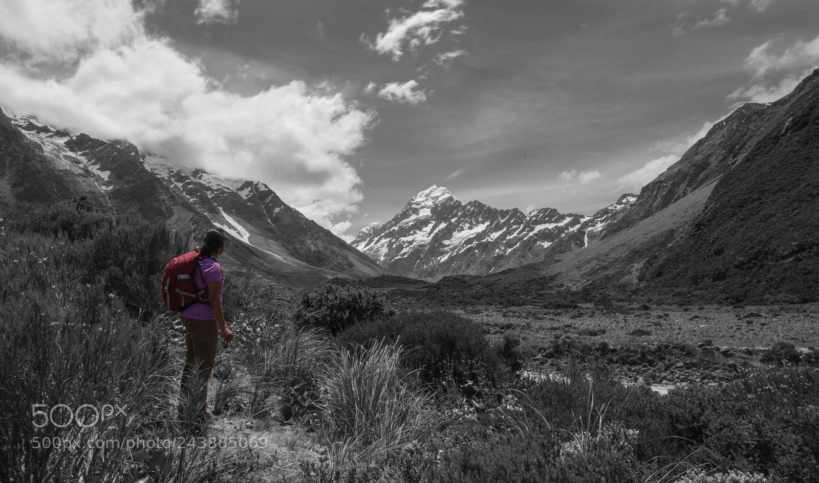 Nikon D810 sample photo. Mtcook photography