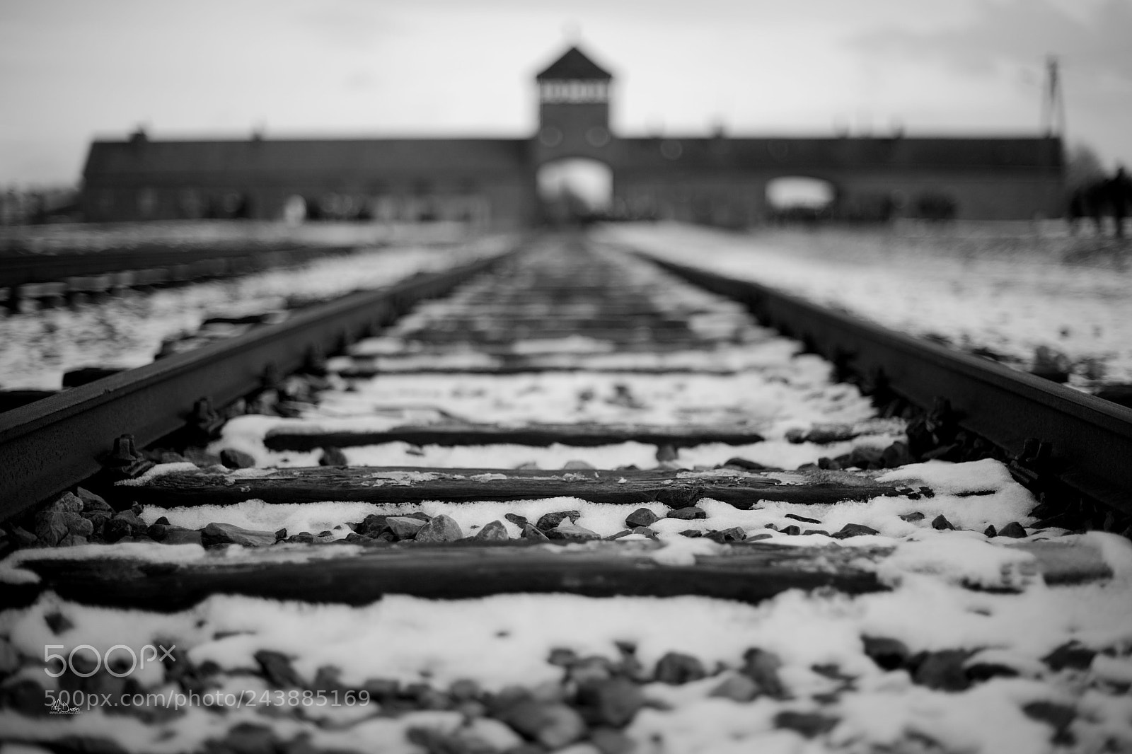 Nikon D810 sample photo. Birkenau 1 photography