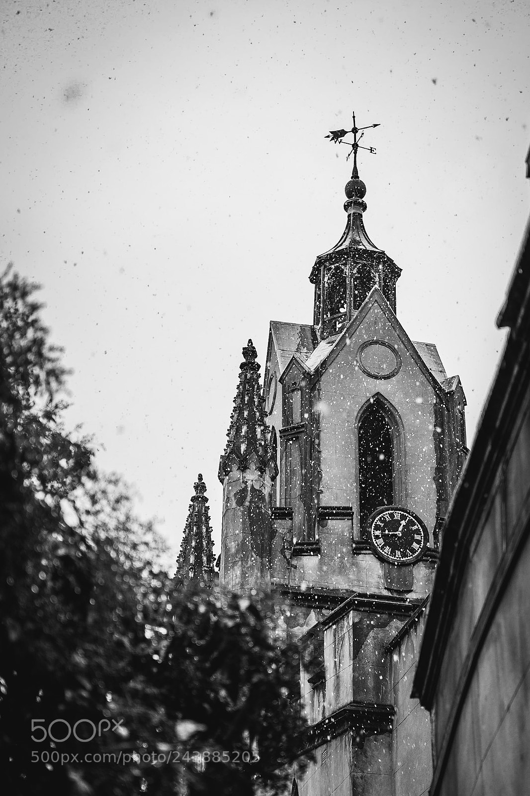 Fujifilm X-Pro1 sample photo. Untitled photography