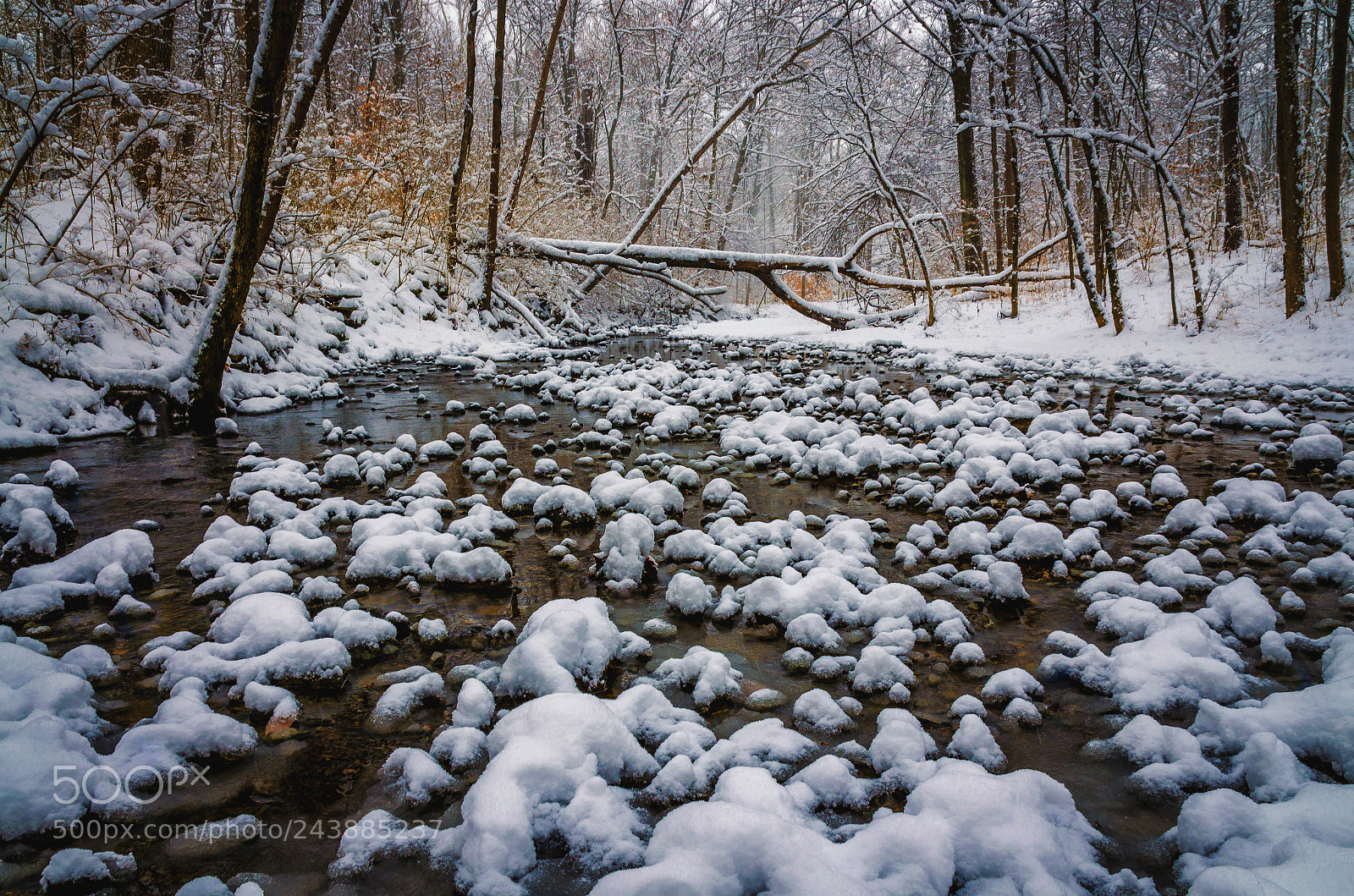 Nikon D5100 sample photo. Winton woods photography