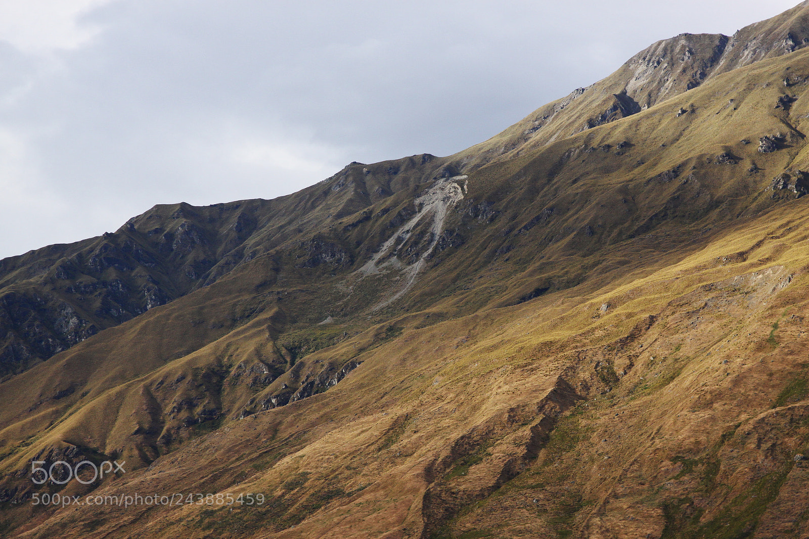 Canon EOS 50D sample photo. Mount aspiring national park photography