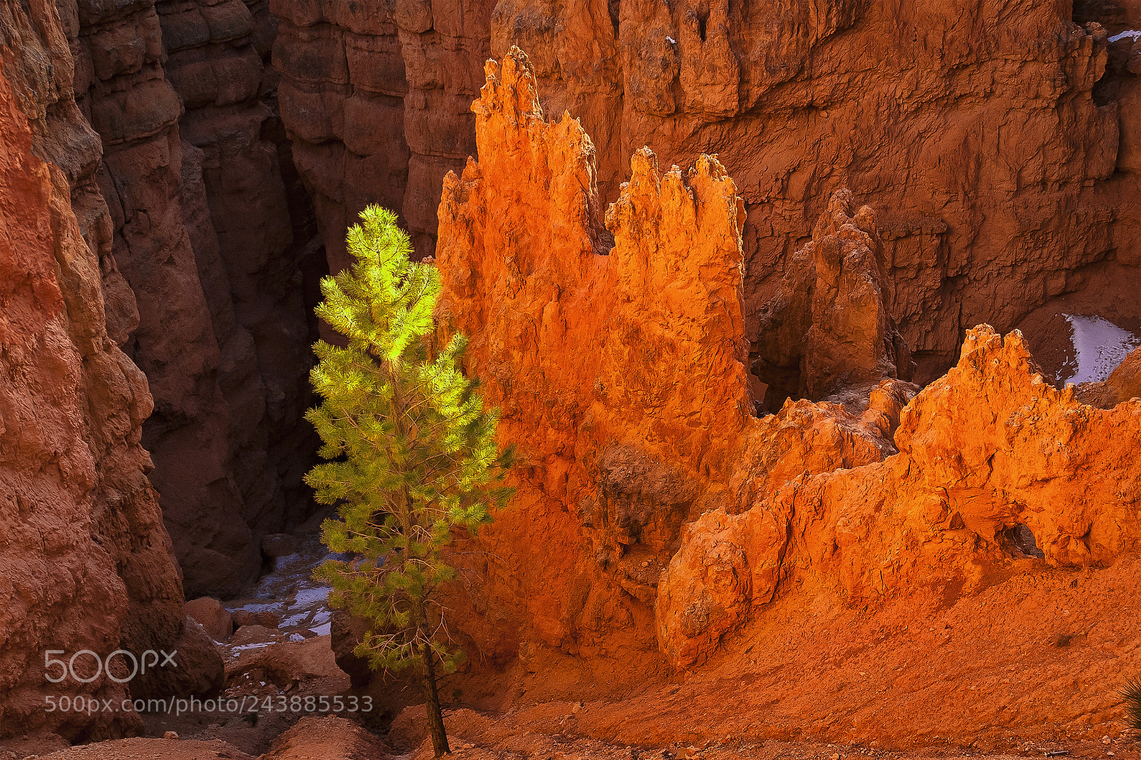 Canon EOS 30D sample photo. Sunset point fire photography