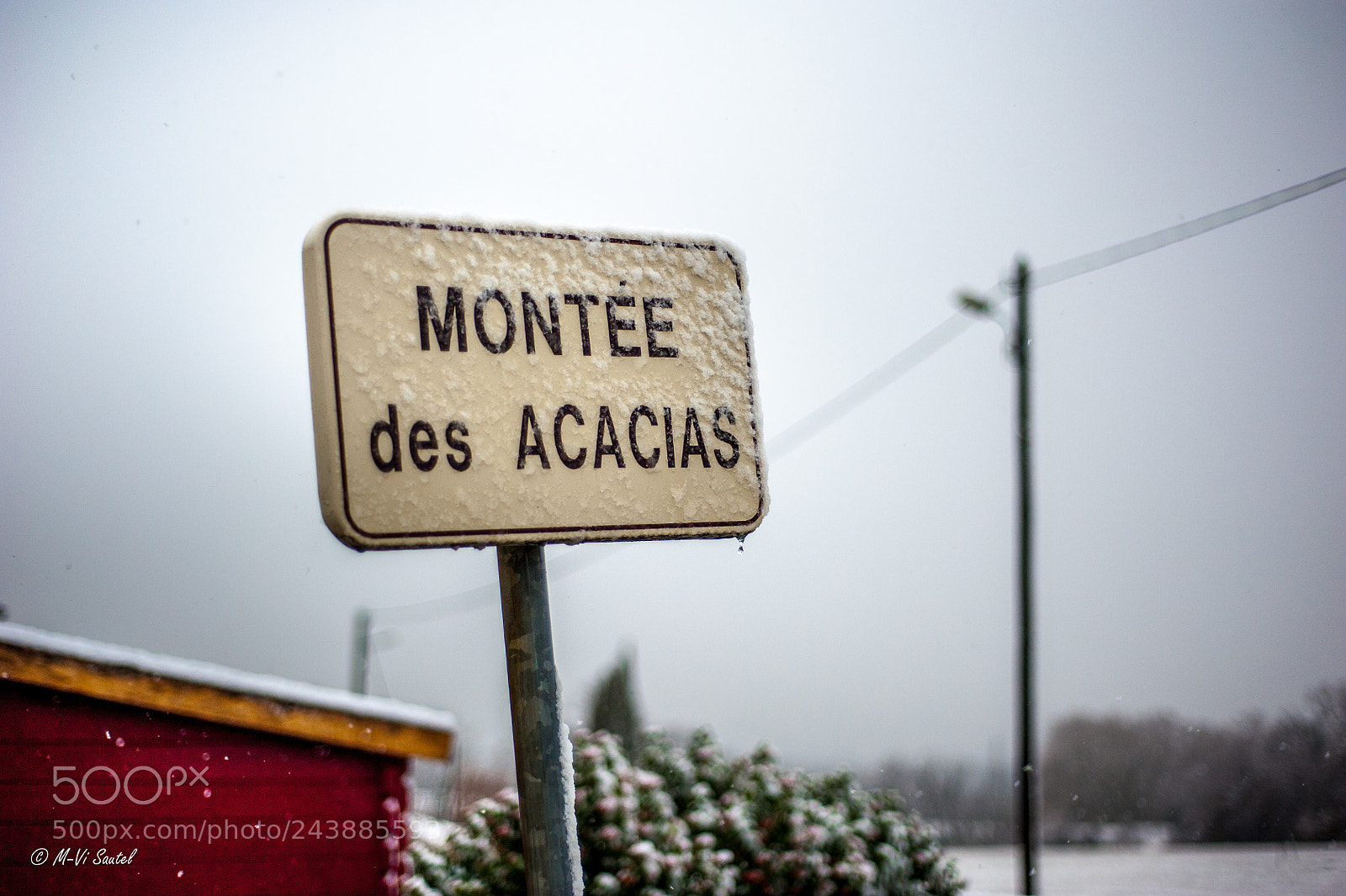 Nikon D700 sample photo. Te revoir entre la photography