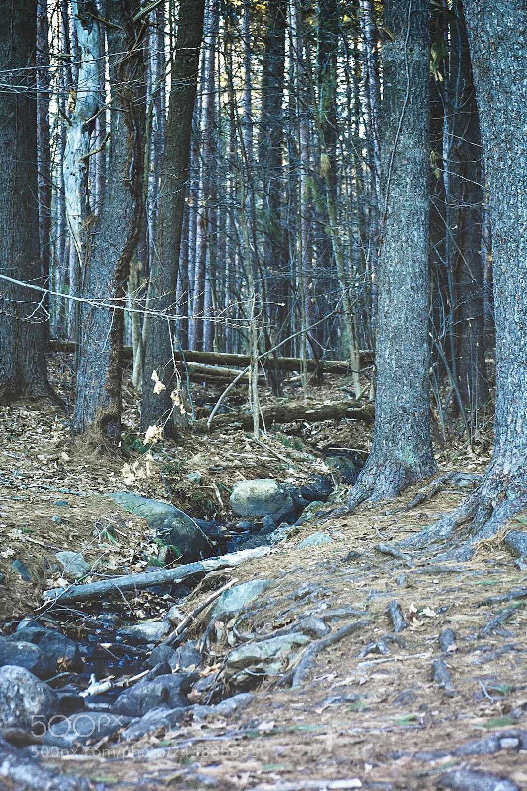 Nikon D7200 sample photo. Slow creek photography