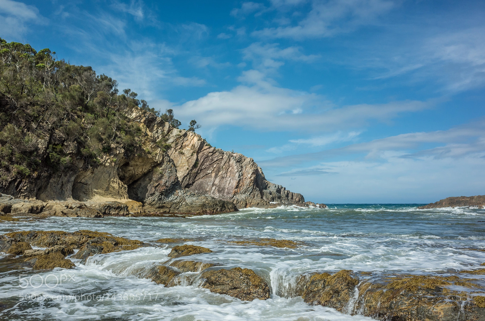 Ricoh GR sample photo. Around batemans bay photography