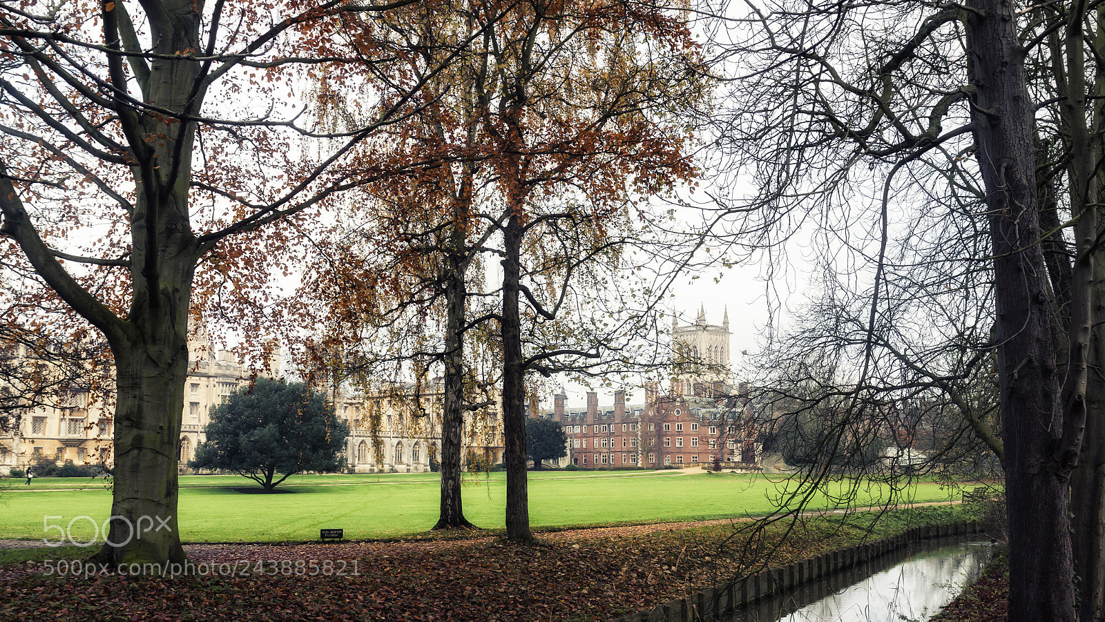 Canon EOS 50D sample photo. Cambridge photography