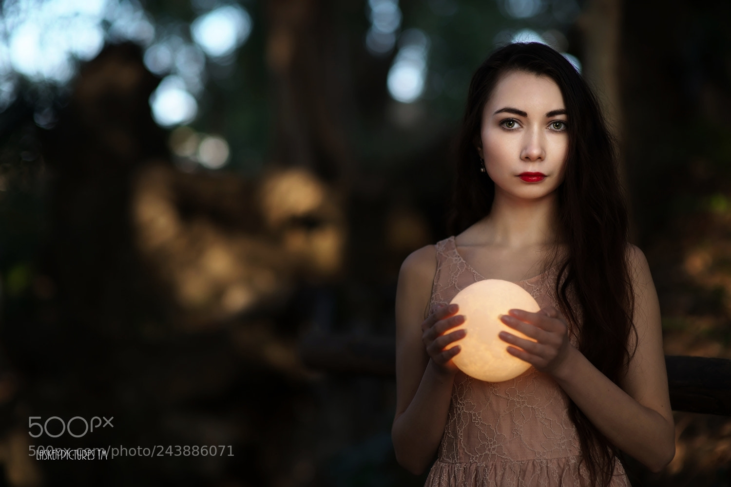 Nikon D850 sample photo. Rosey photography