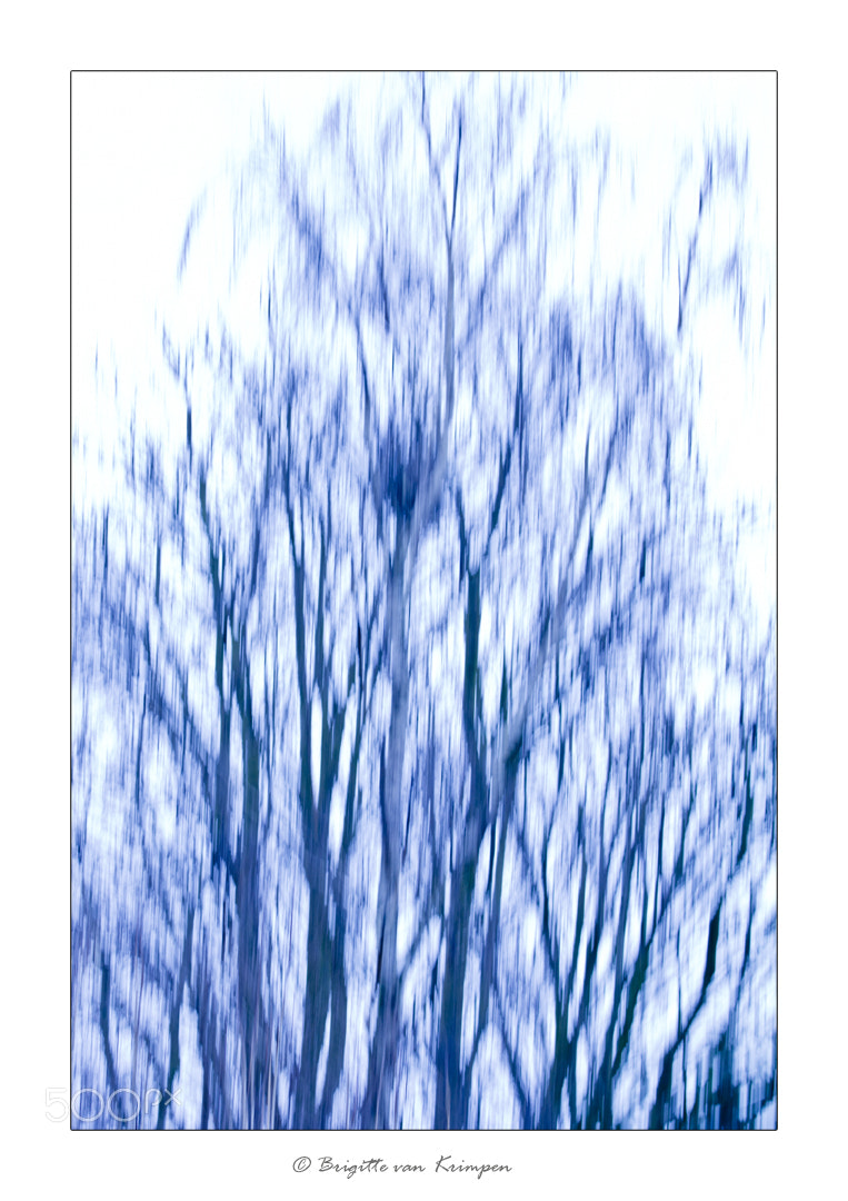 Canon EOS 60D sample photo. Stormy blues photography