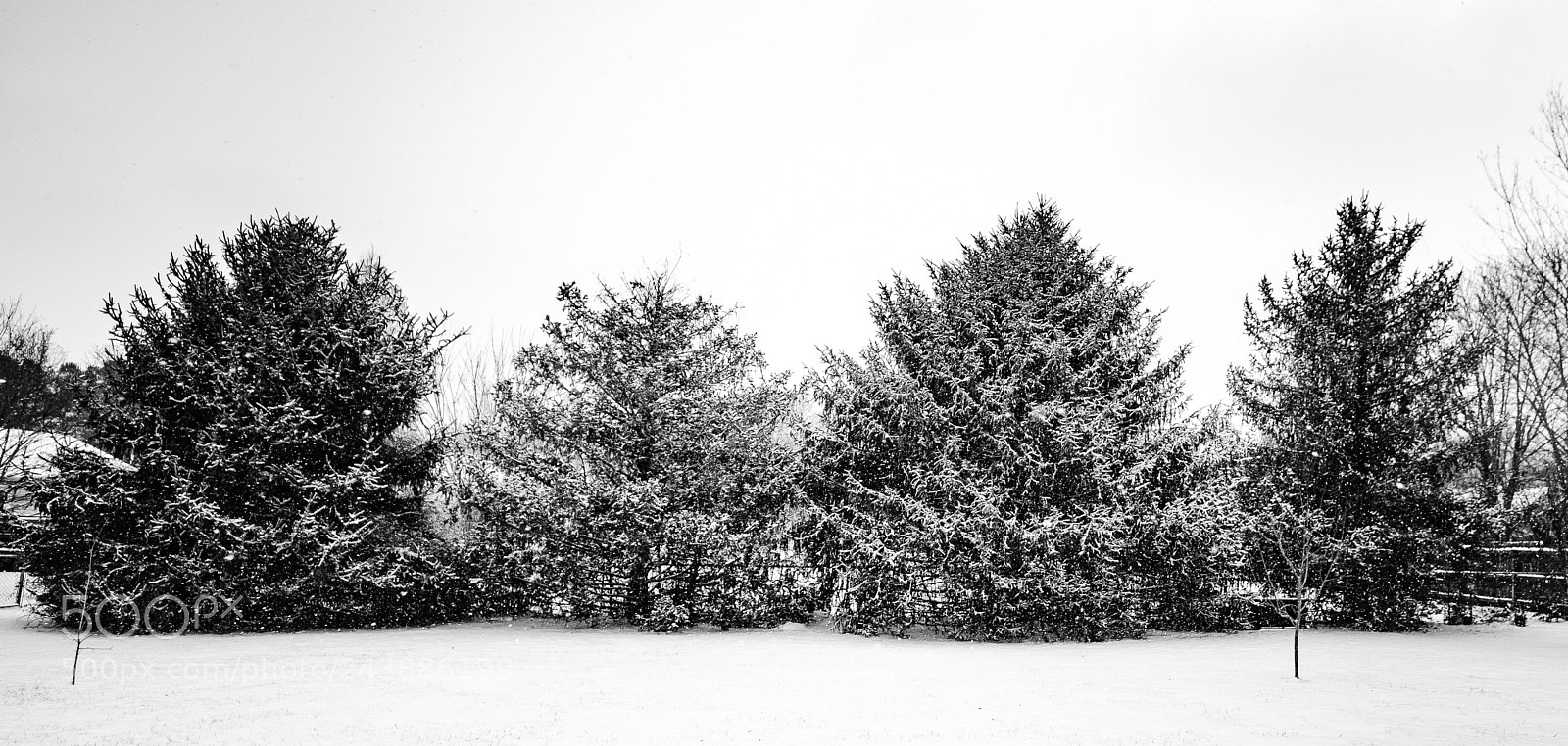 Nikon D5500 sample photo. 27949512079.jpg photography
