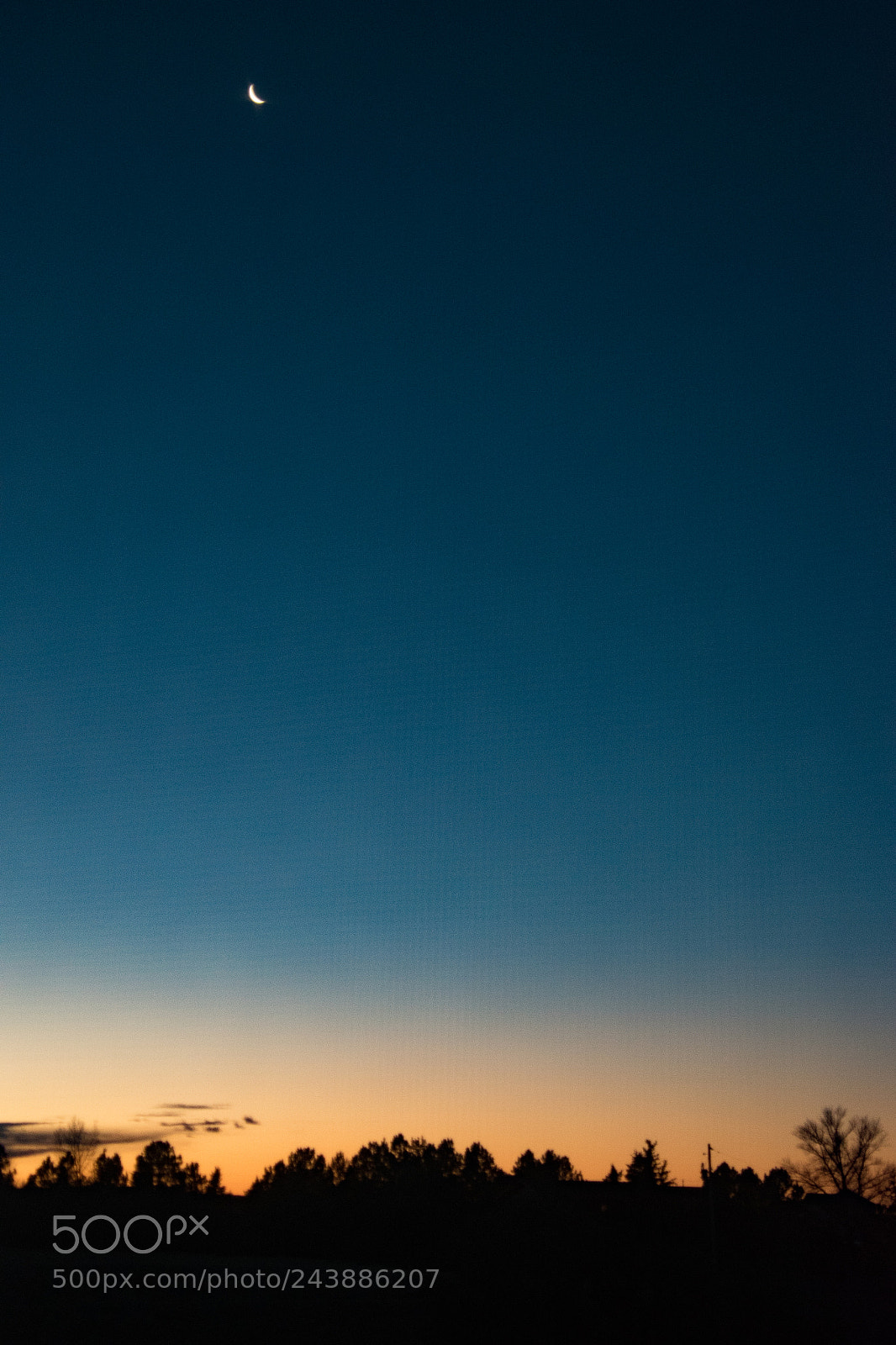 Nikon D5500 sample photo. 24842578067.jpg photography