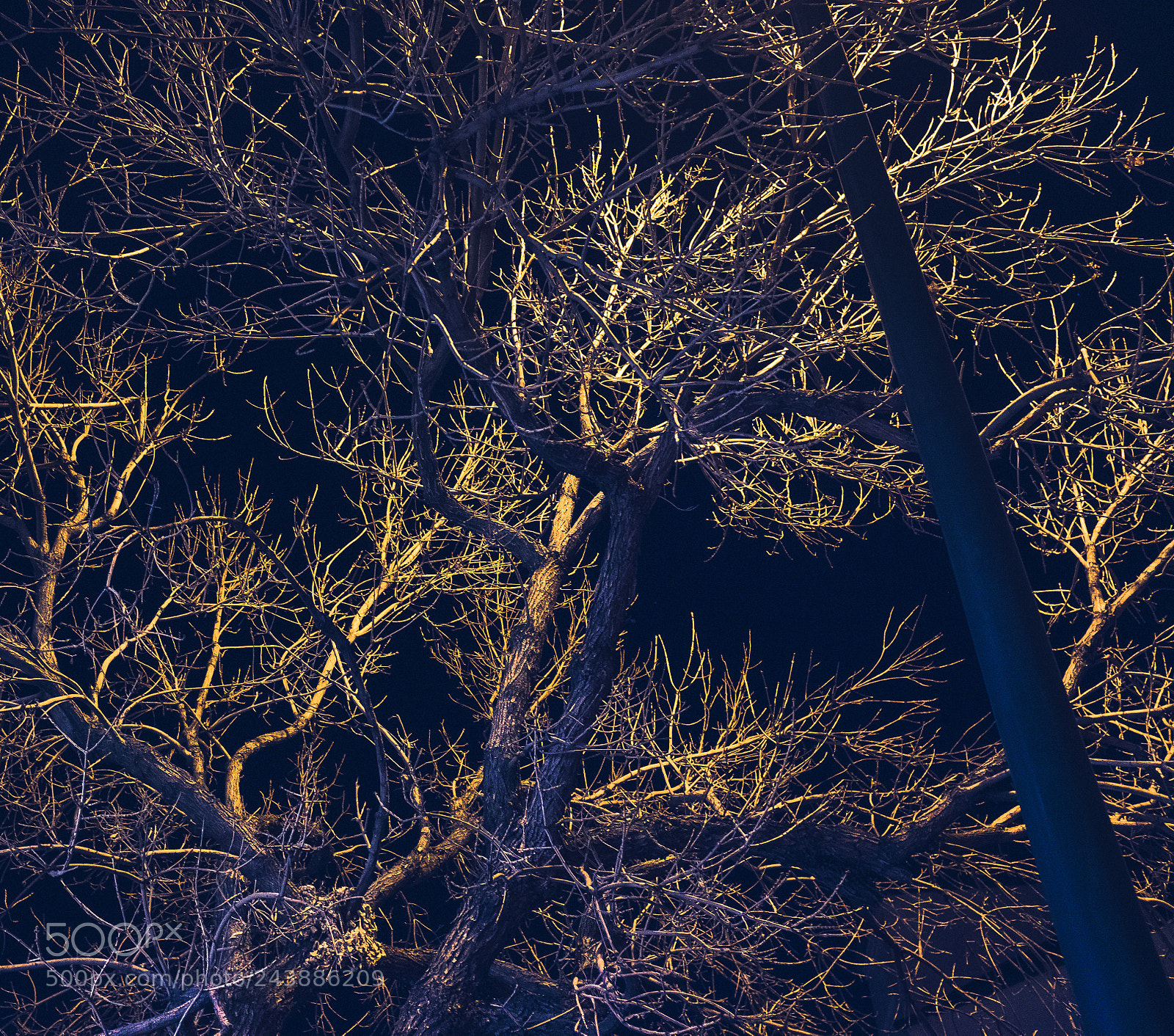 Fujifilm X100F sample photo. 27949507329.jpg photography