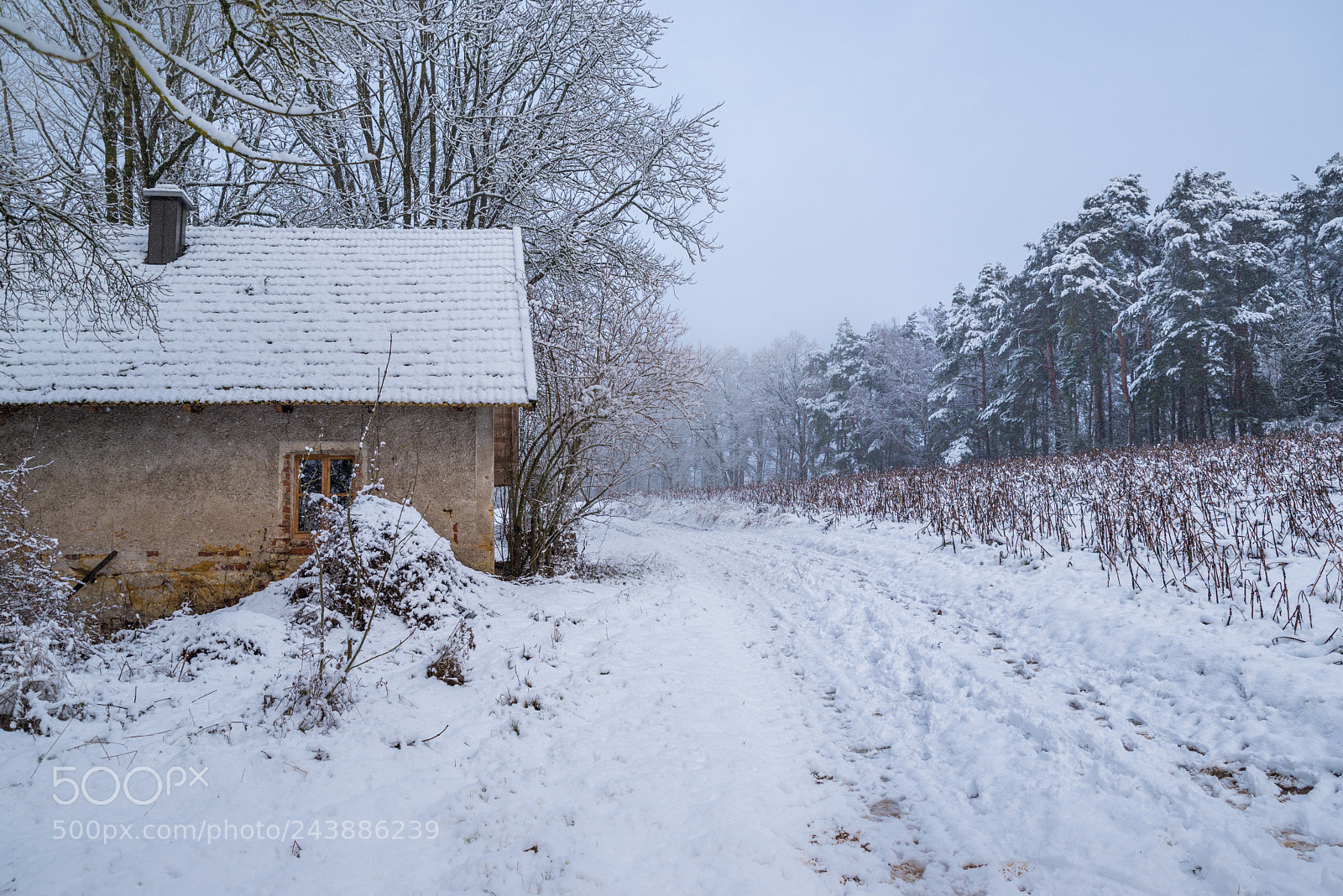 Pentax K-1 sample photo. Old house photography