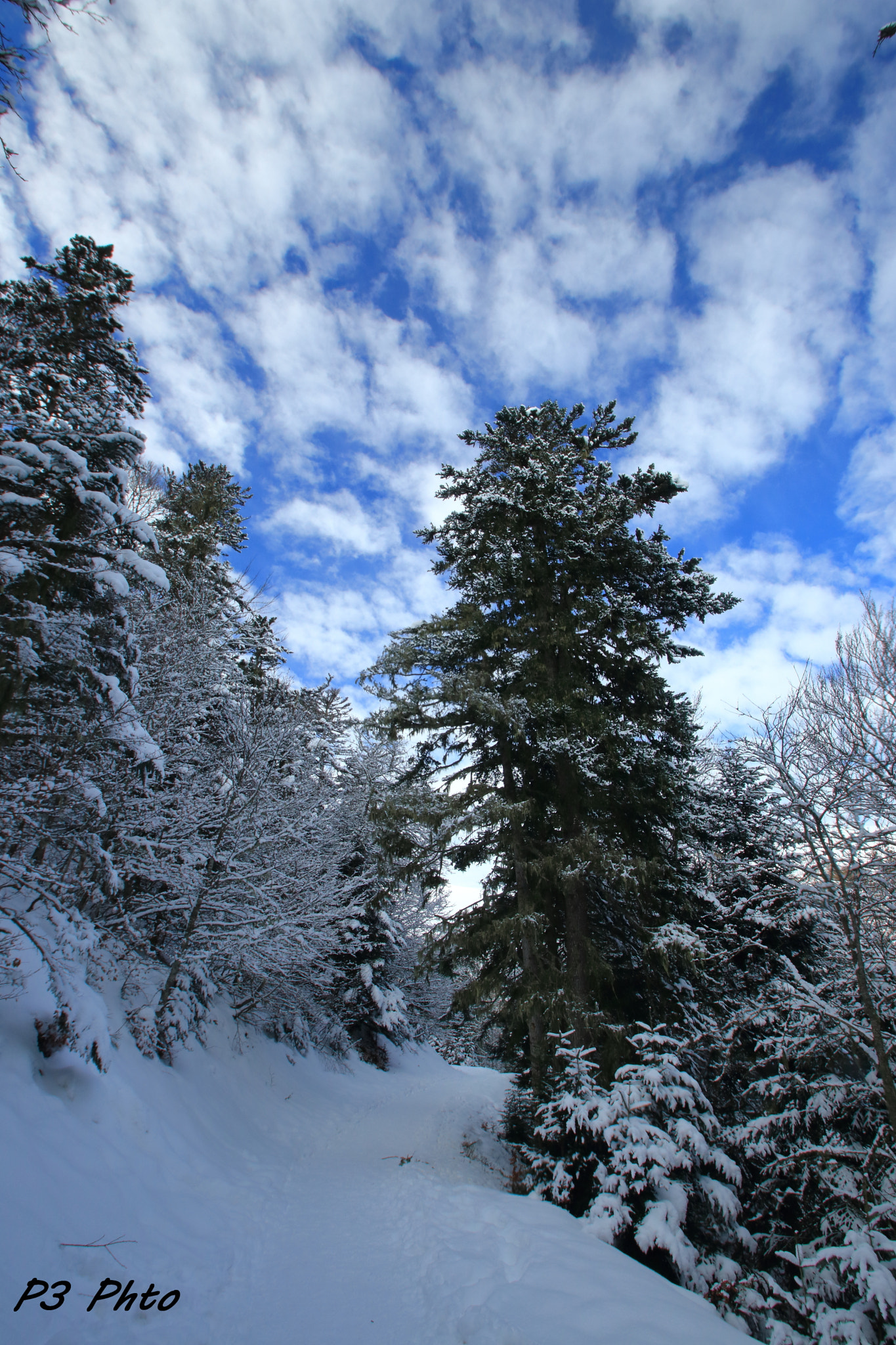 Sigma 10-20mm F3.5 EX DC HSM sample photo. Img photography