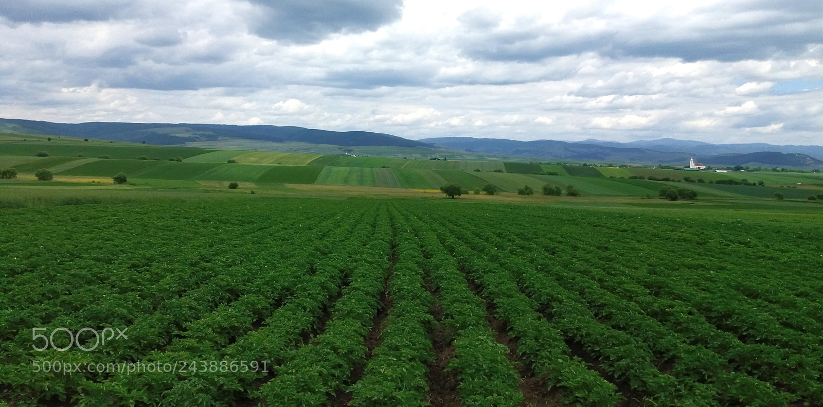 Samsung Galaxy J5(2016) sample photo. Green field.jpg photography