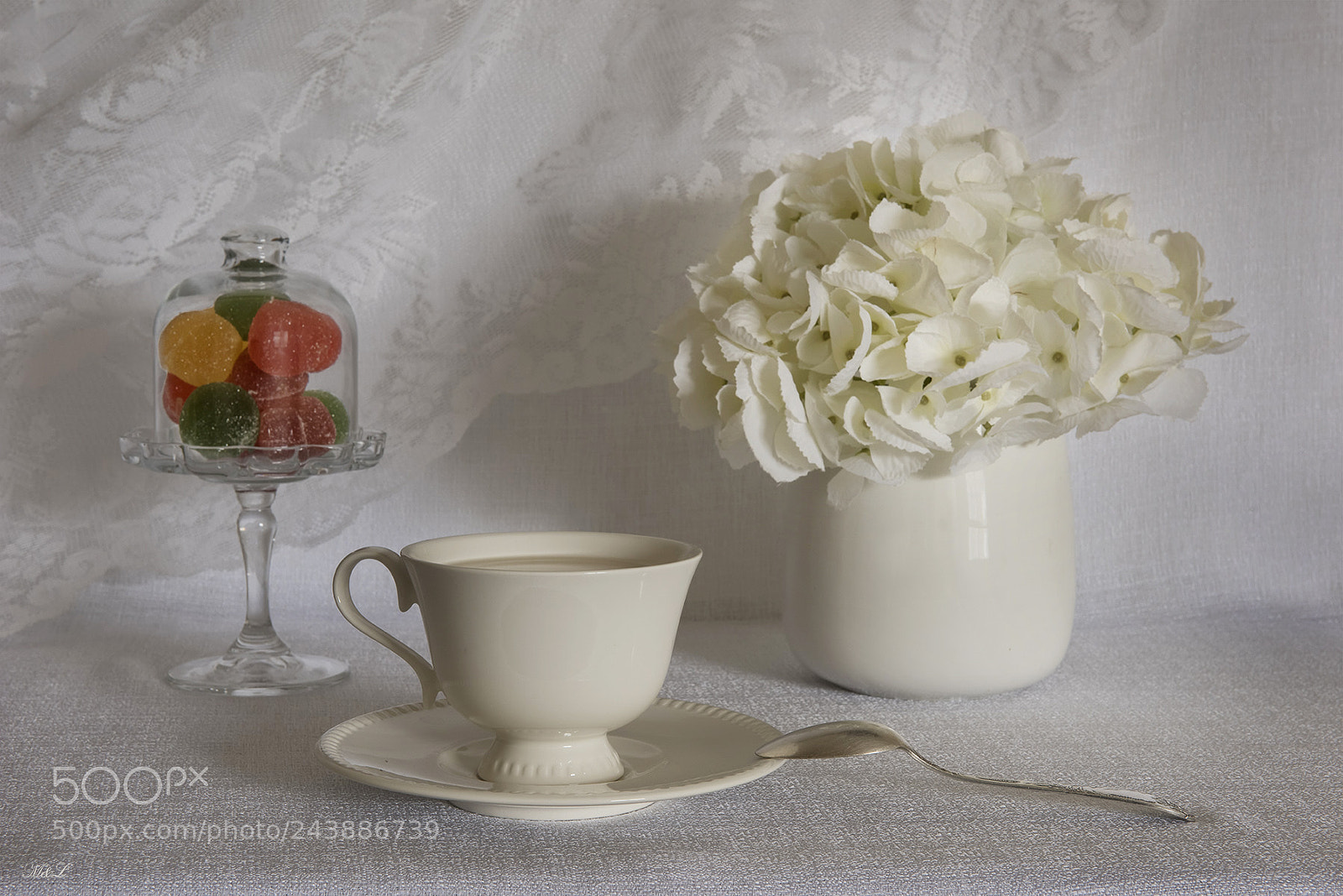 Nikon D810 sample photo. *** photography