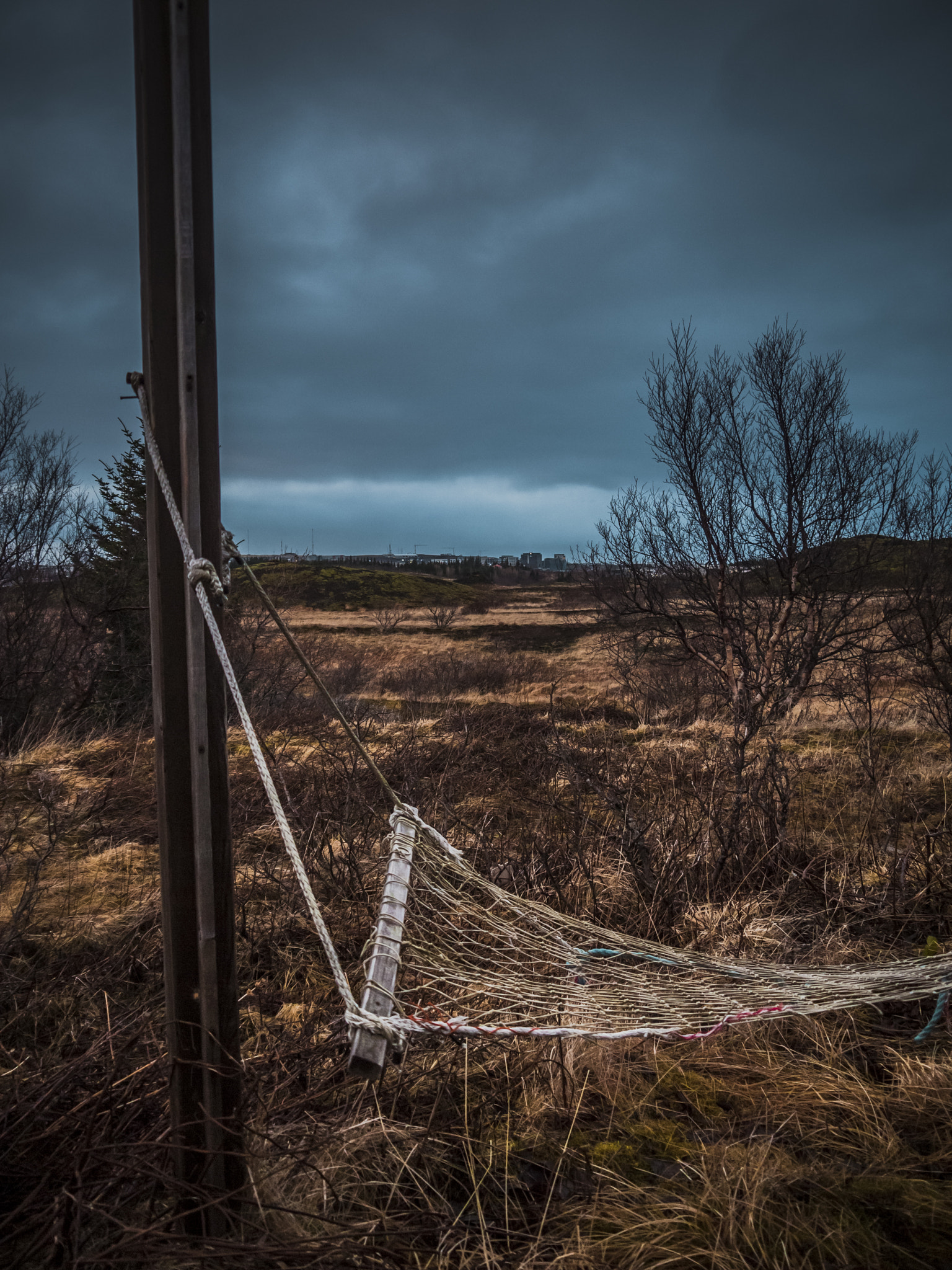 Panasonic Lumix DMC-GF2 sample photo. Hammock in the wild photography
