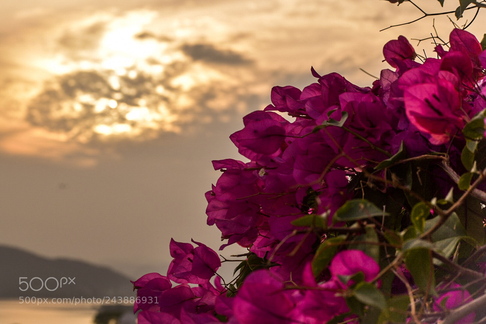Nikon D5500 sample photo. Evening photography