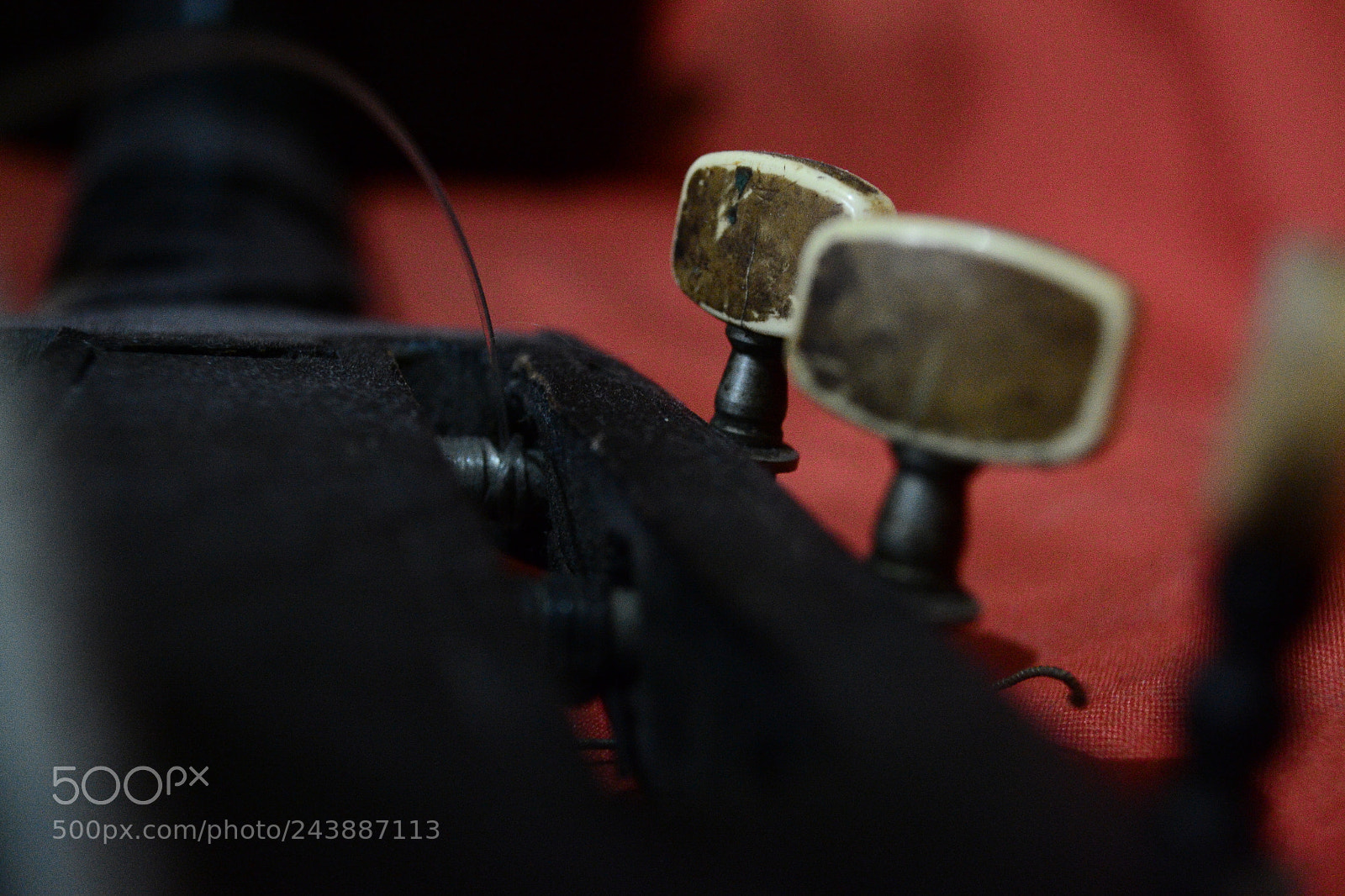 Nikon D3100 sample photo. ? photography