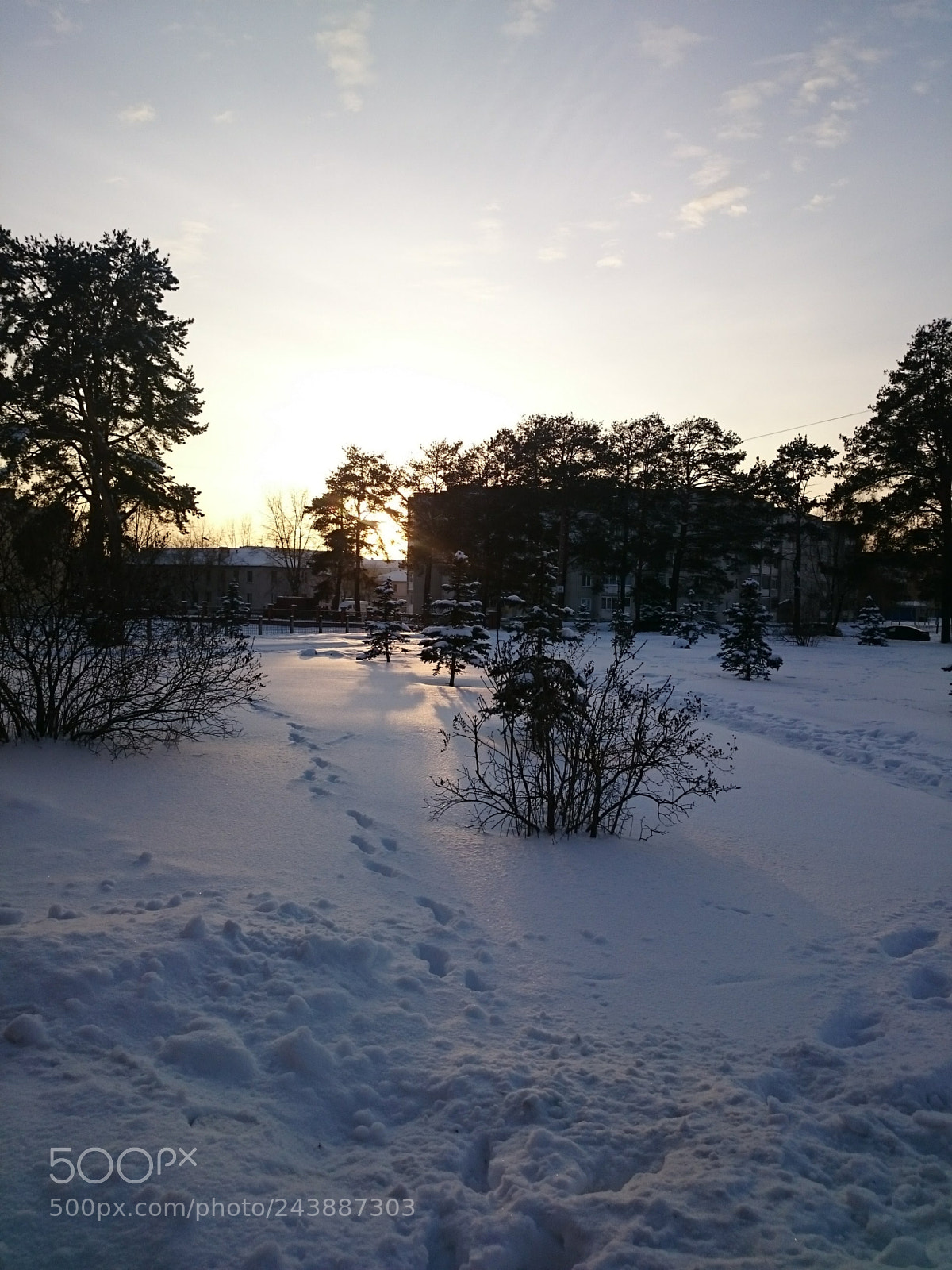 Sony Xperia Z2 sample photo. Winter sundown photography