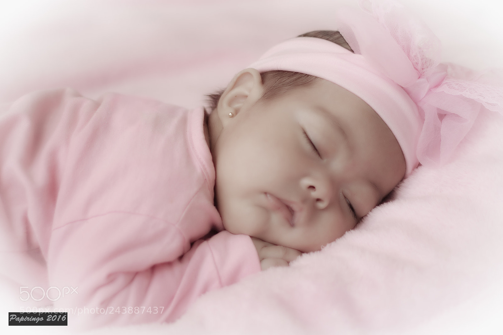 Canon EOS 750D (EOS Rebel T6i / EOS Kiss X8i) sample photo. A new life photography