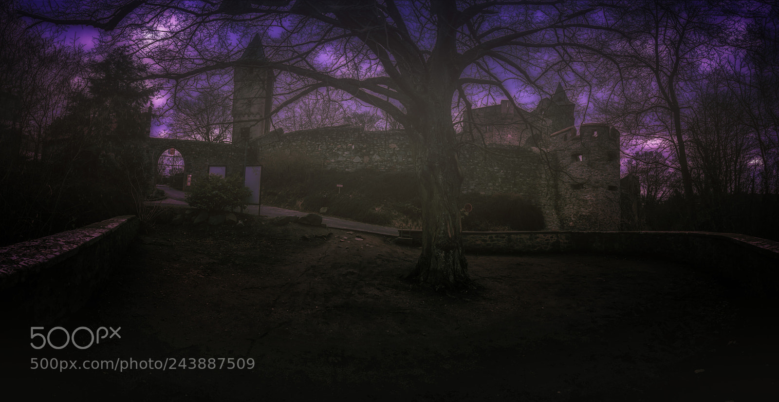 Nikon D800 sample photo. Castle frankenstein photography