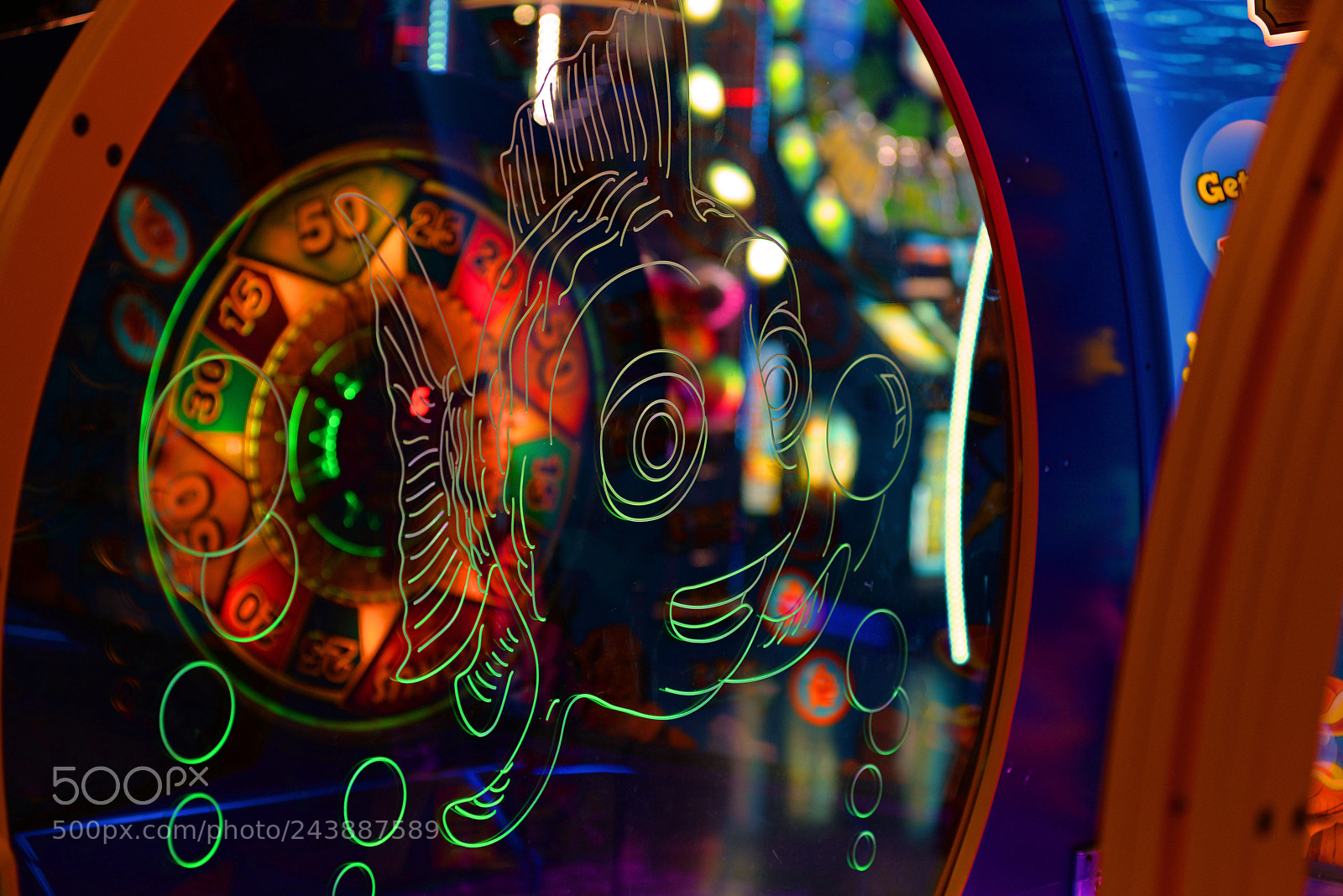 Nikon D610 sample photo. Neon arcade fish photography