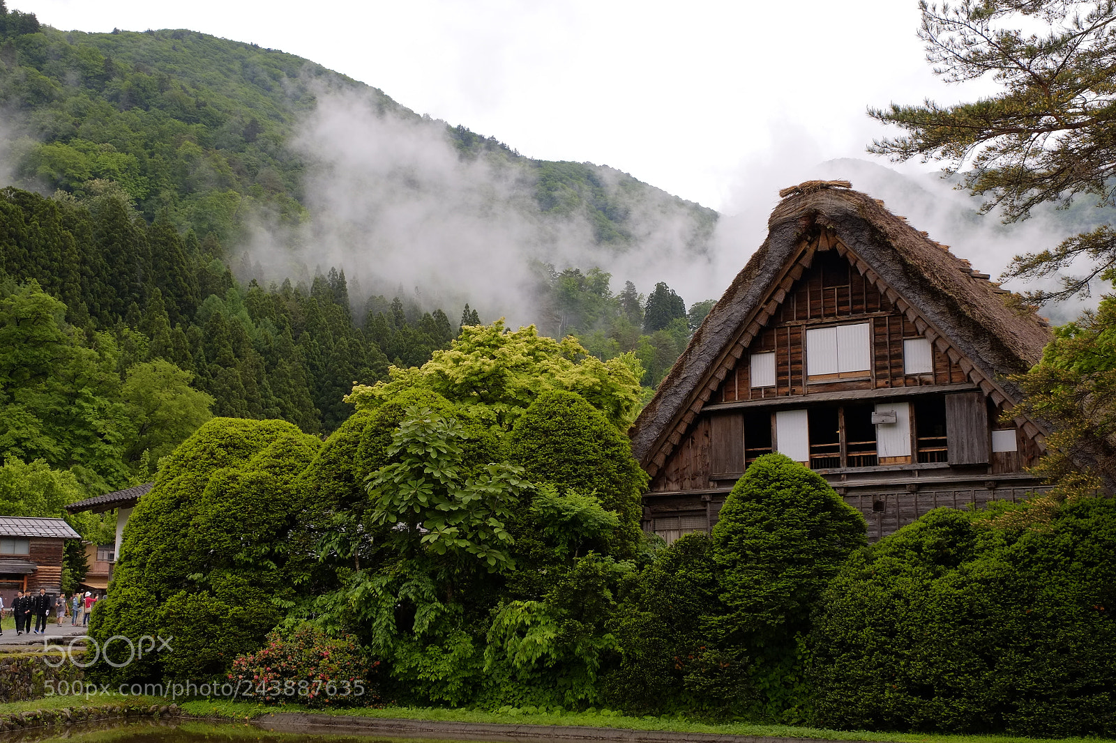 Fujifilm X-E1 sample photo. 34985837105.jpg photography