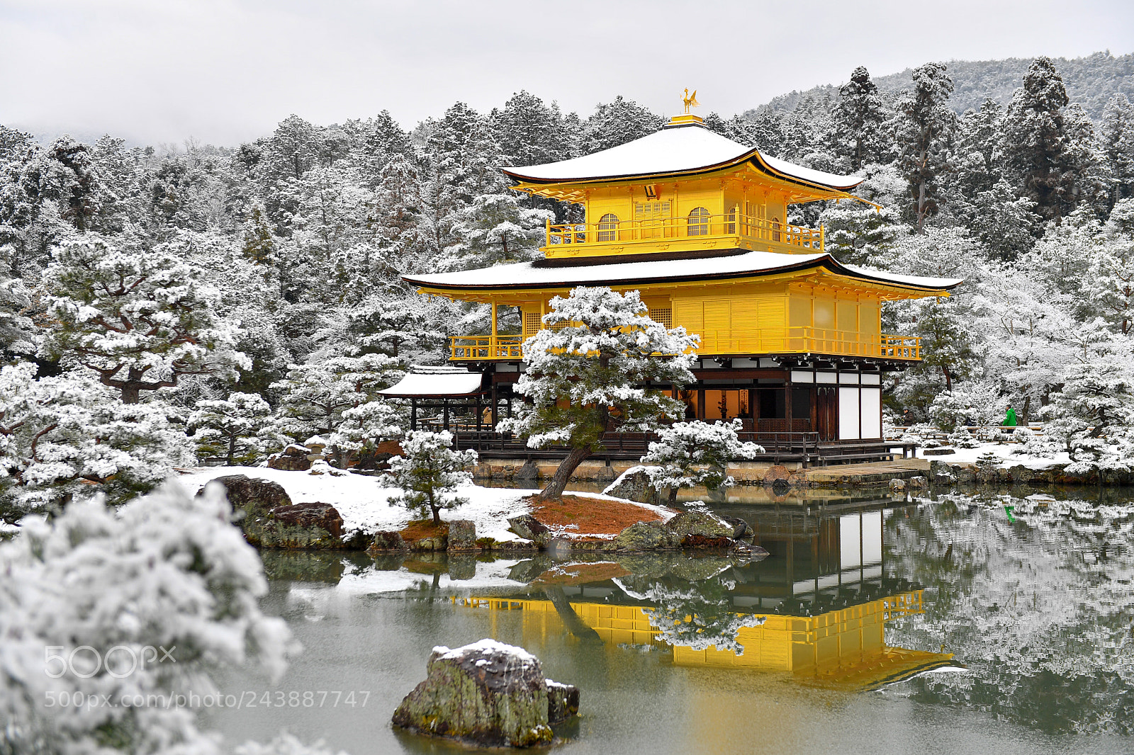 Nikon D5 sample photo. 金閣寺 photography