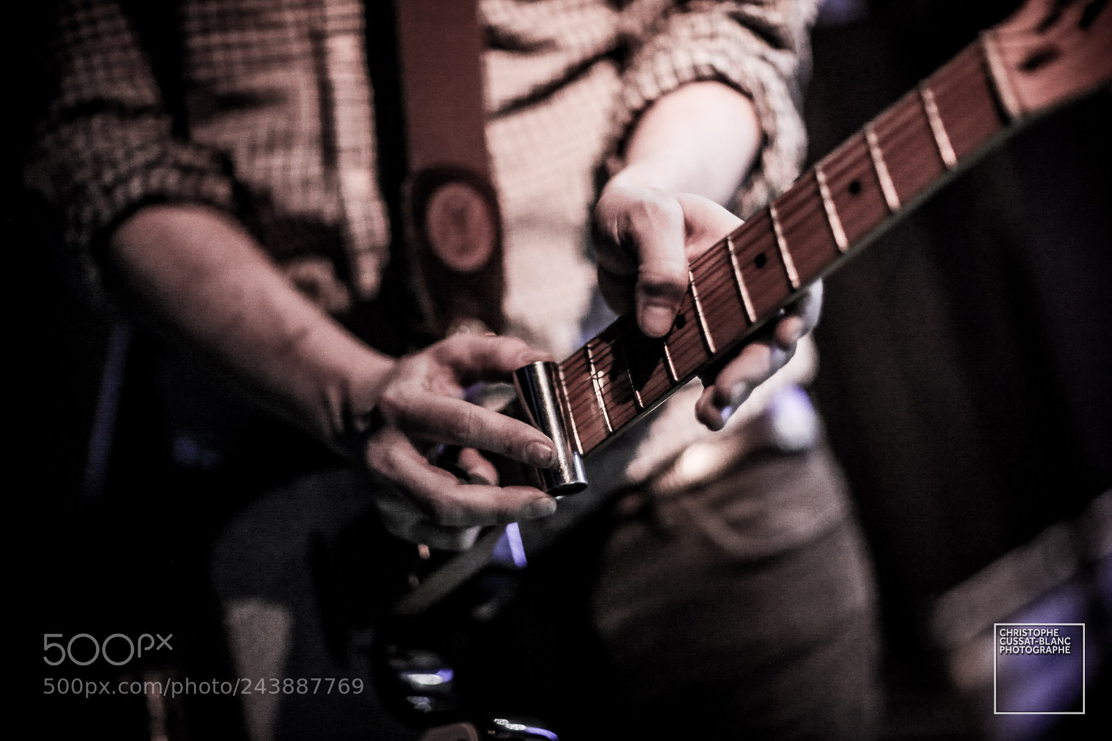 Canon EOS-1D X sample photo. The lazy bees @ o'gib photography
