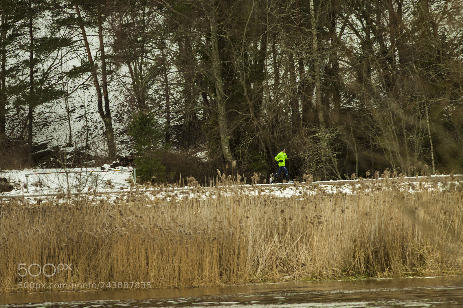 Canon EOS 50D sample photo. A runner on his photography